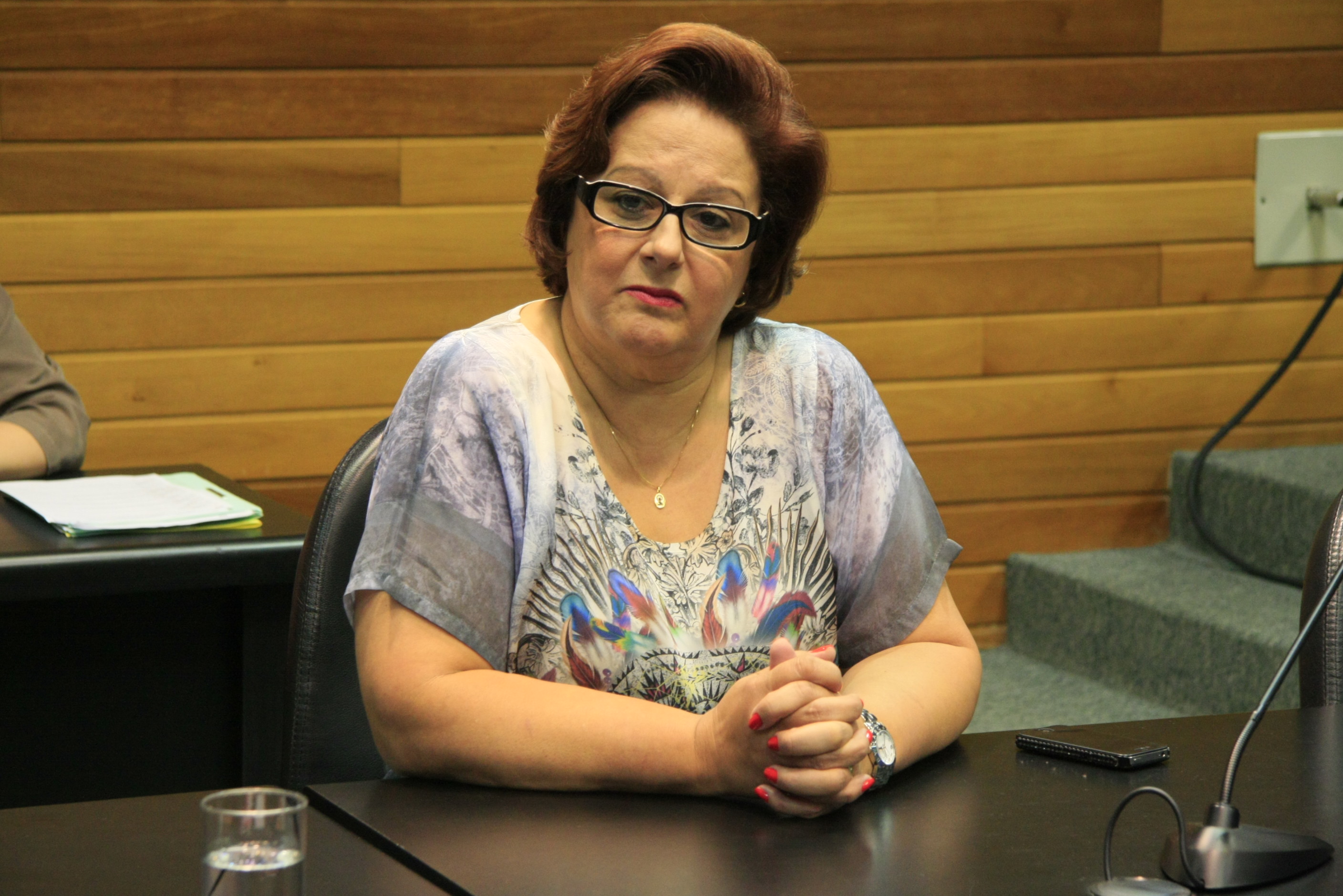 Reunião de Comissão de Segurança Pública. Deputada Dirce Heiderscheidt. Foto: Solon Soares