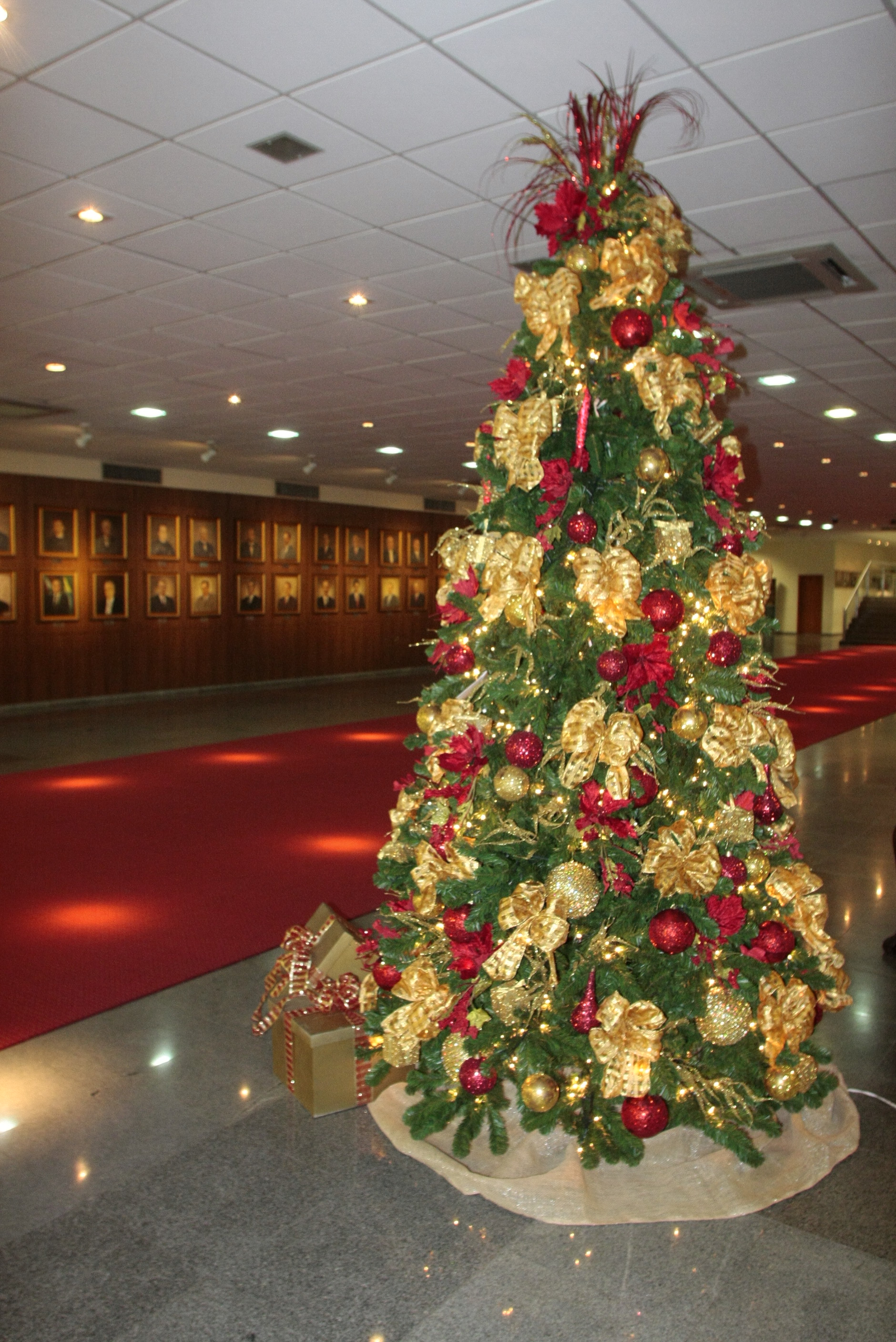Natal na ALESC