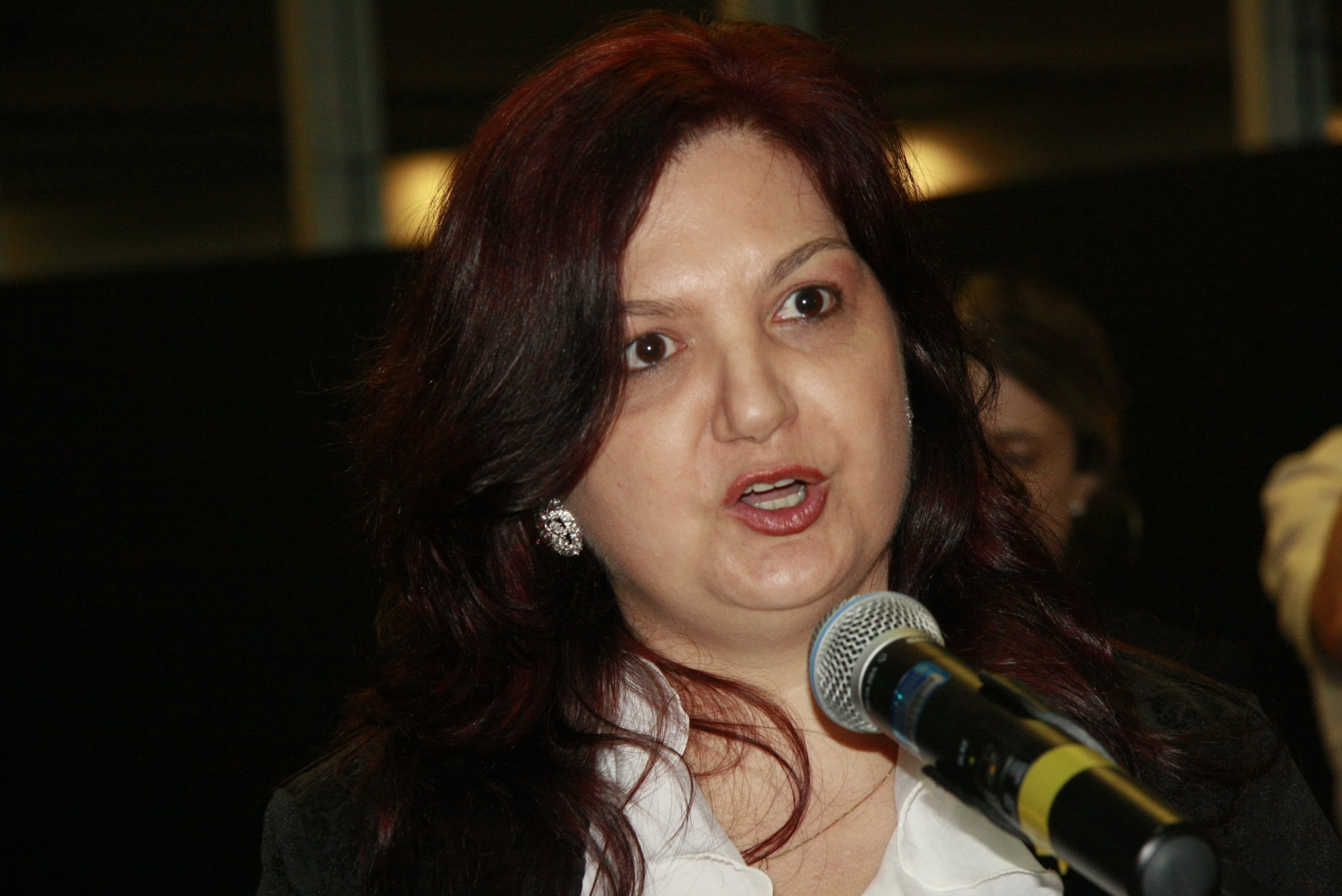 Elenir Lucia Cericatto