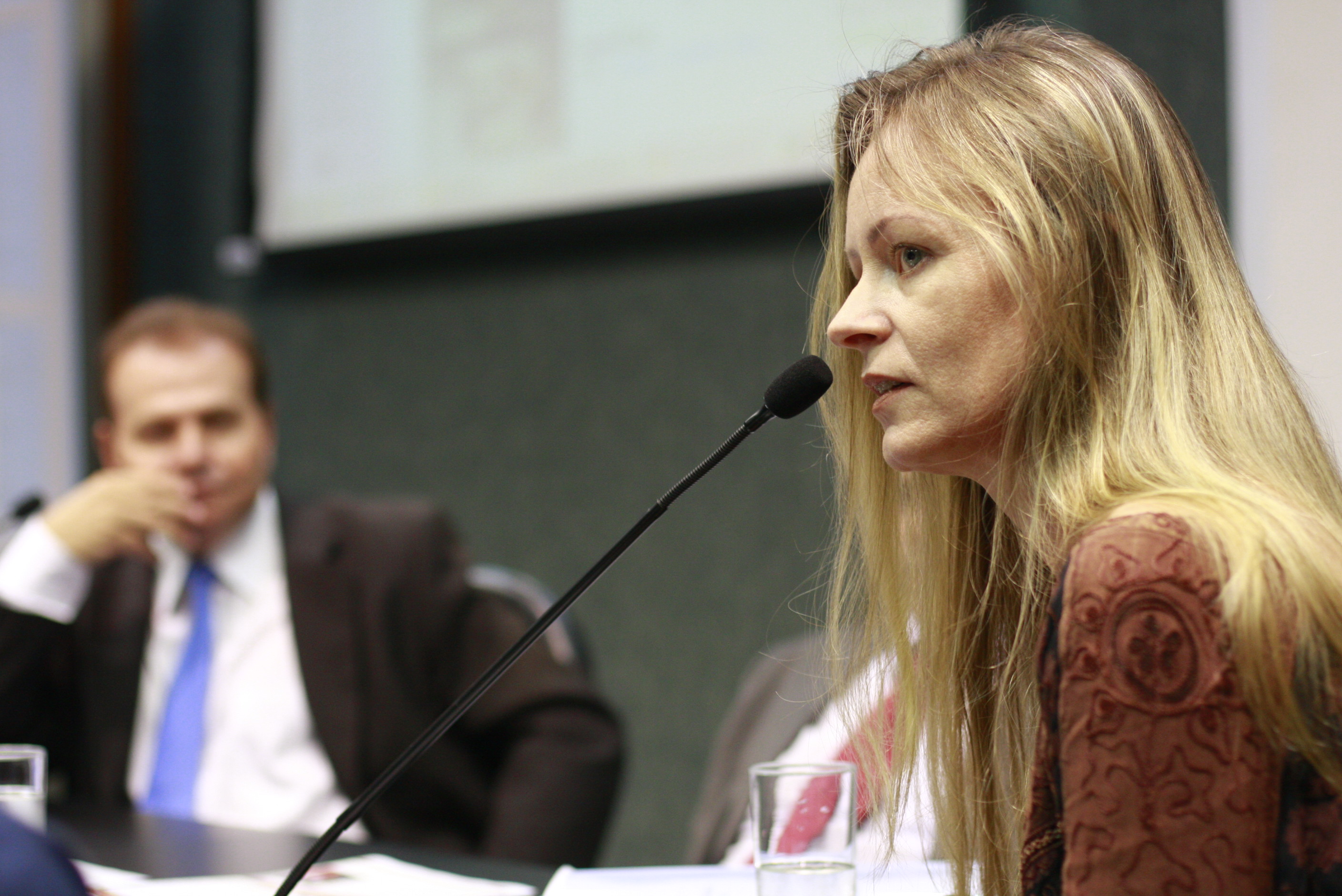 Reunião da Comissão de Segurança Pública - Professora Neide - Foto: Lucas Gabriel Diniz