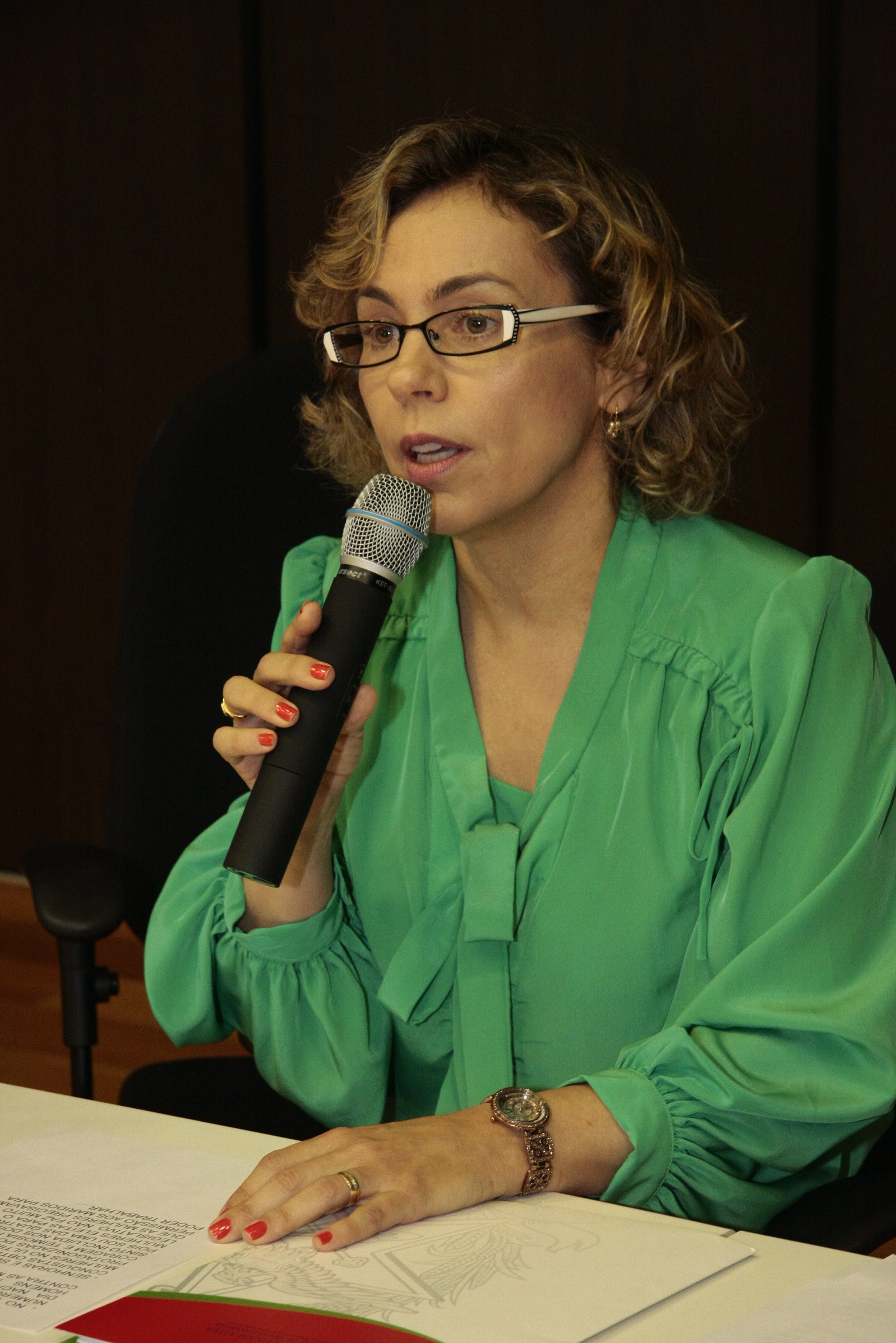 Fórum Lei Maria da Penha. Deputada Ana Paula Lima (PT). Foto: Eduardo Guedes