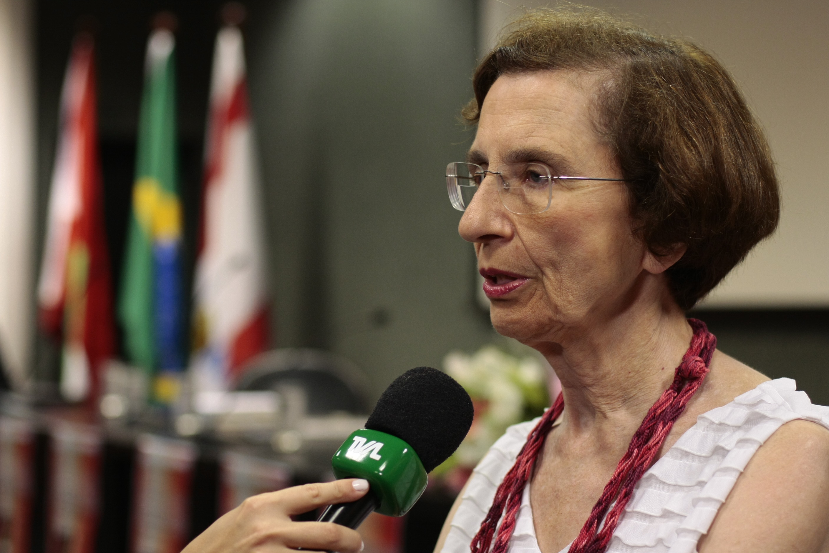 Lançamento Literário 