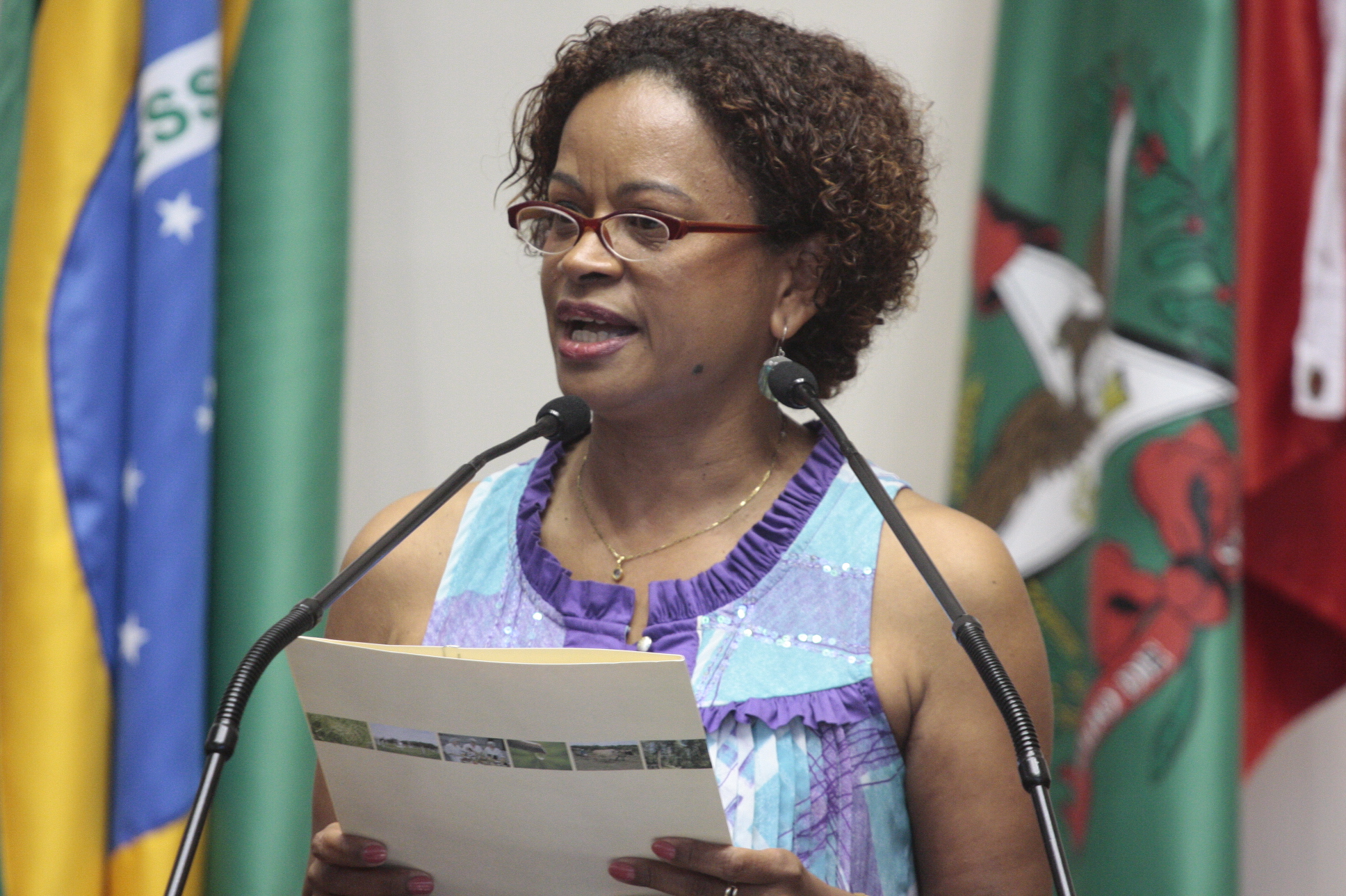 Sessão Ordinária - Plenário Osni Régis. Elisabete Silva de Oliveira.  Foto: Miriam Zomer