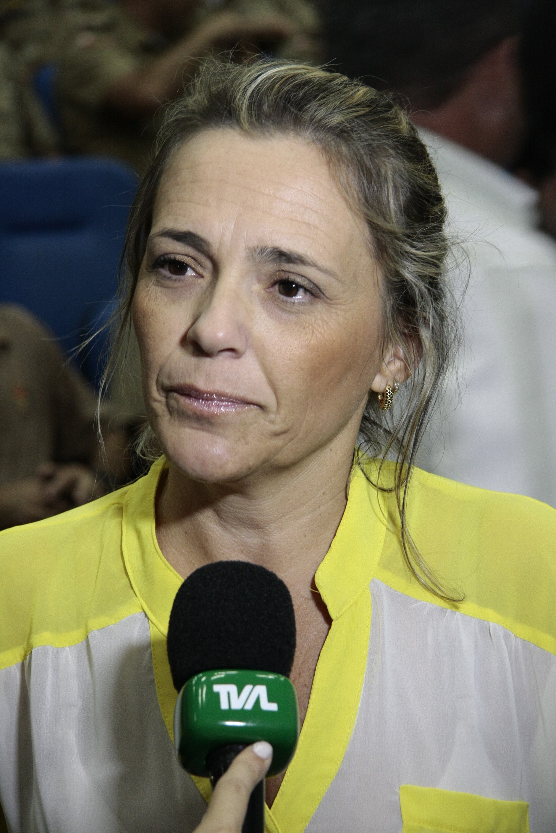 Aplicação de multas a veículos estrangeiros - Graziela Maria casas Blanco