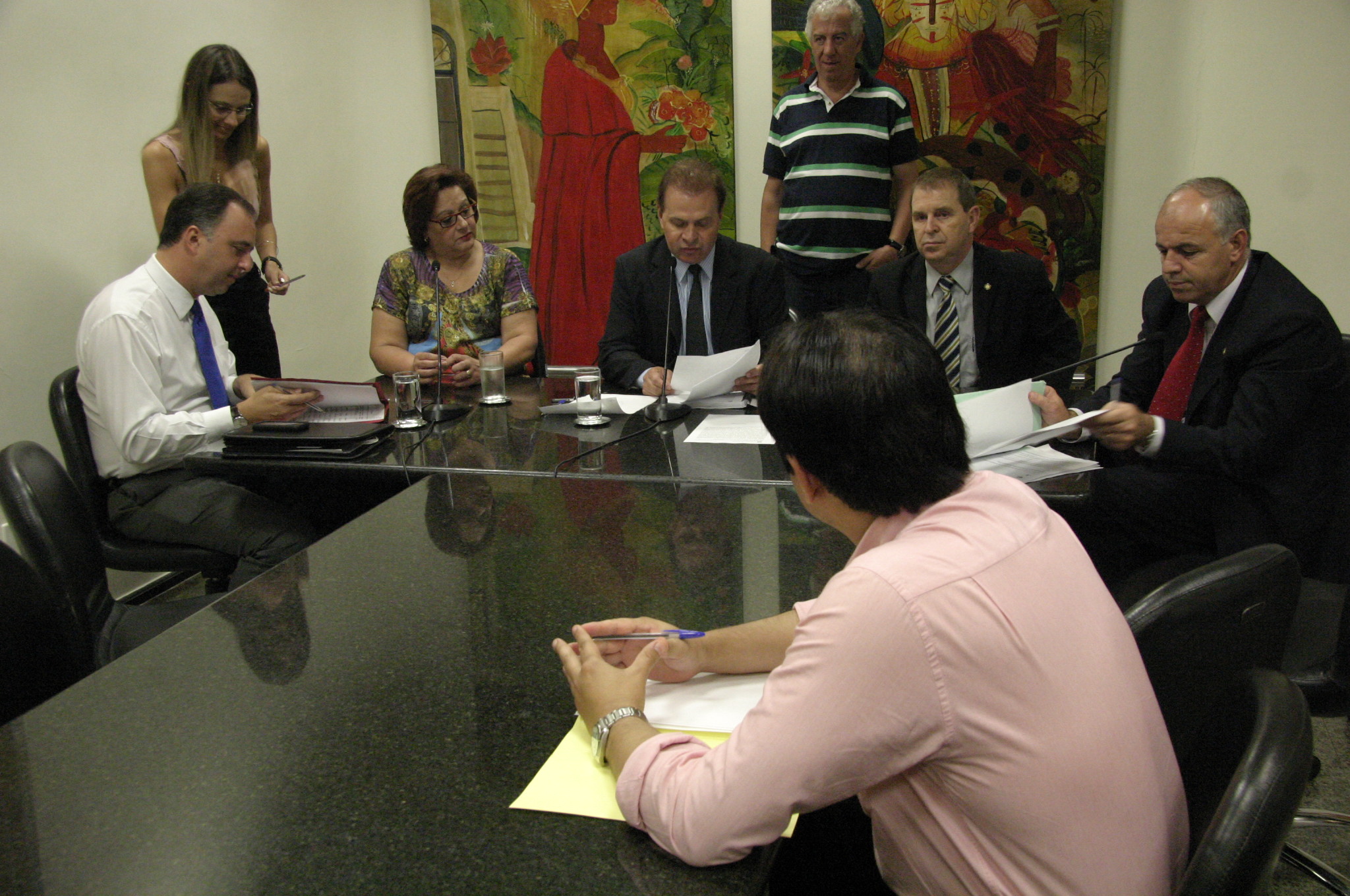 Comissão de Segurança Pública. Foto: Eduardo Guedes