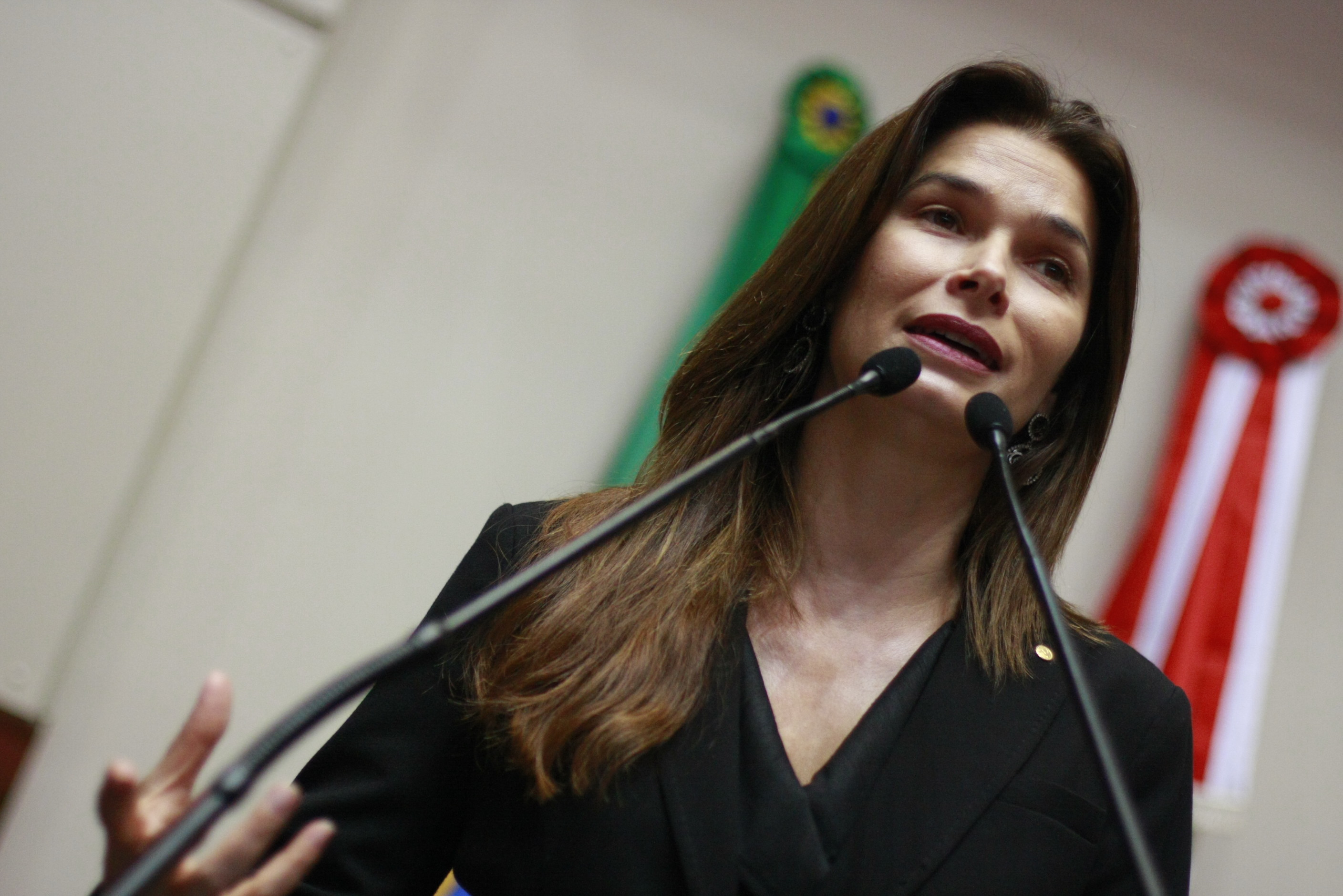 Sessão Ordinária - Plenário Osni Régis - deputada Angela Albino (PCdoB) - Foto: Lucas Gabriel Diniz