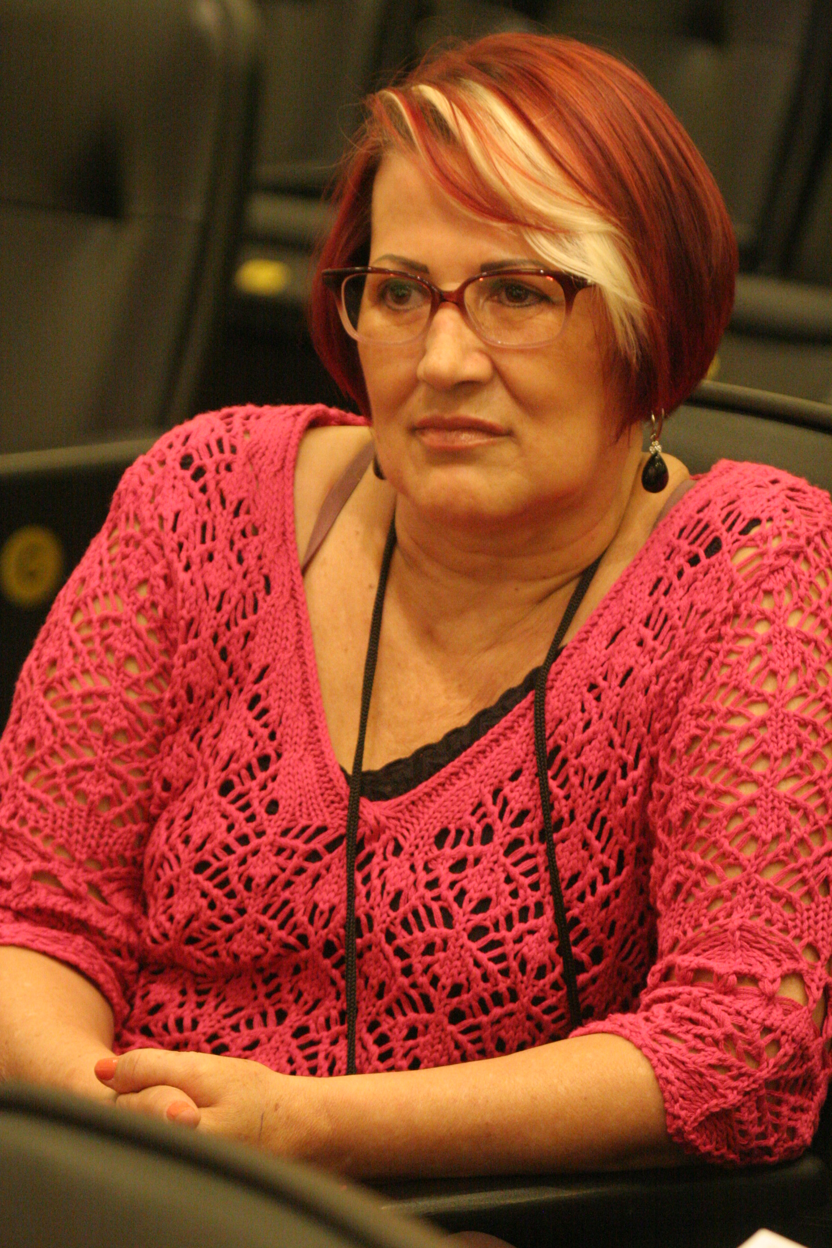 VIII Congresso Catarinense de Secretariado Presidente do Sindicato dos Profissionais de Secretariado de SC Ana Maria Netto da Silva   Foto  Carlos Kilian
