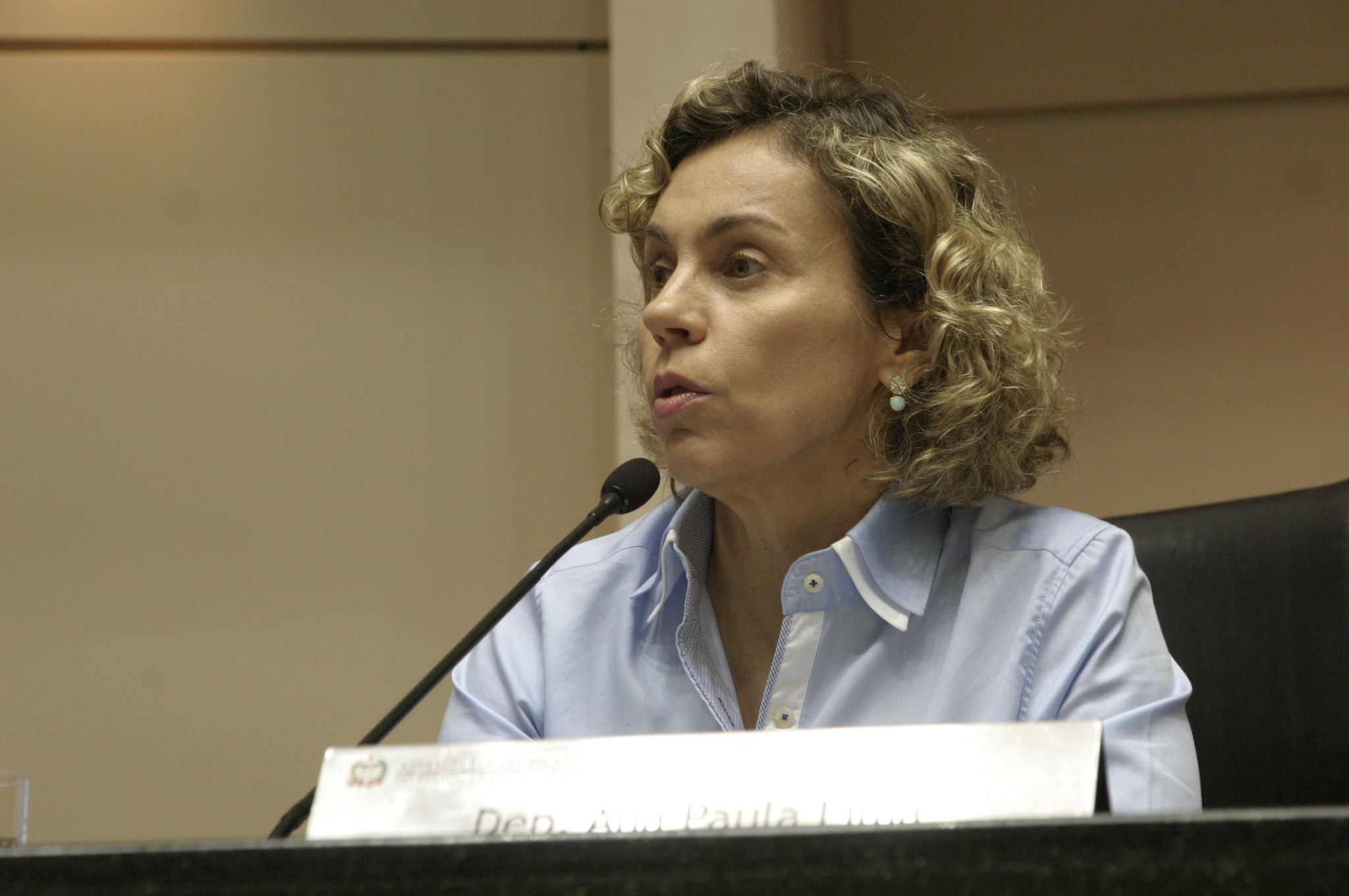 Sessão Ordinária - Plenário Osni Régis - Deputada Ana Paula Lima (PT). Foto: Eduardo Guedes