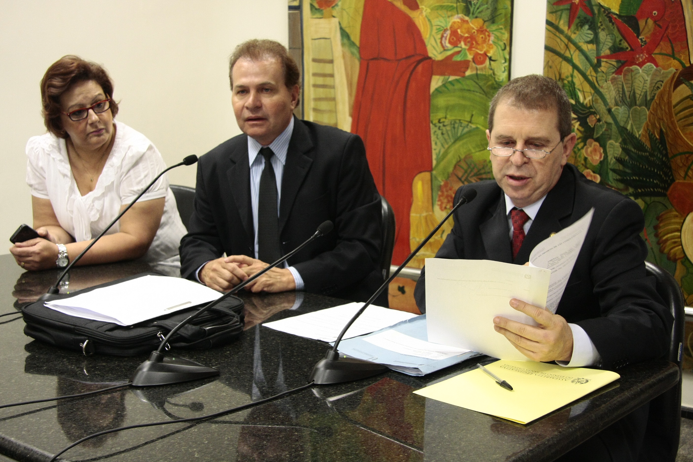 Reunião da Comissão de Segurança Pública. Foto:Miriam Zomer