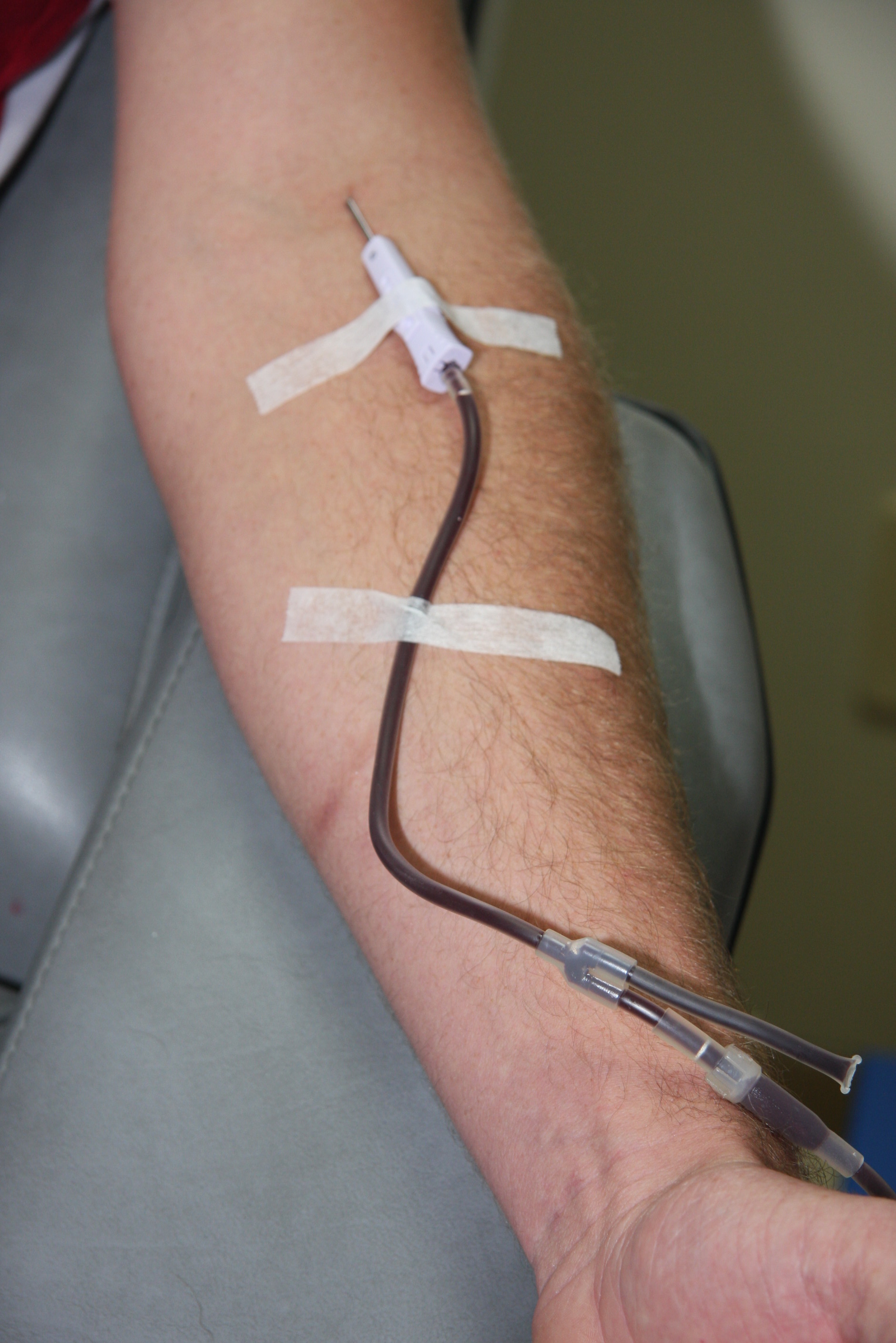 Doação de Sangue -  Foto: Fábio Queiroz