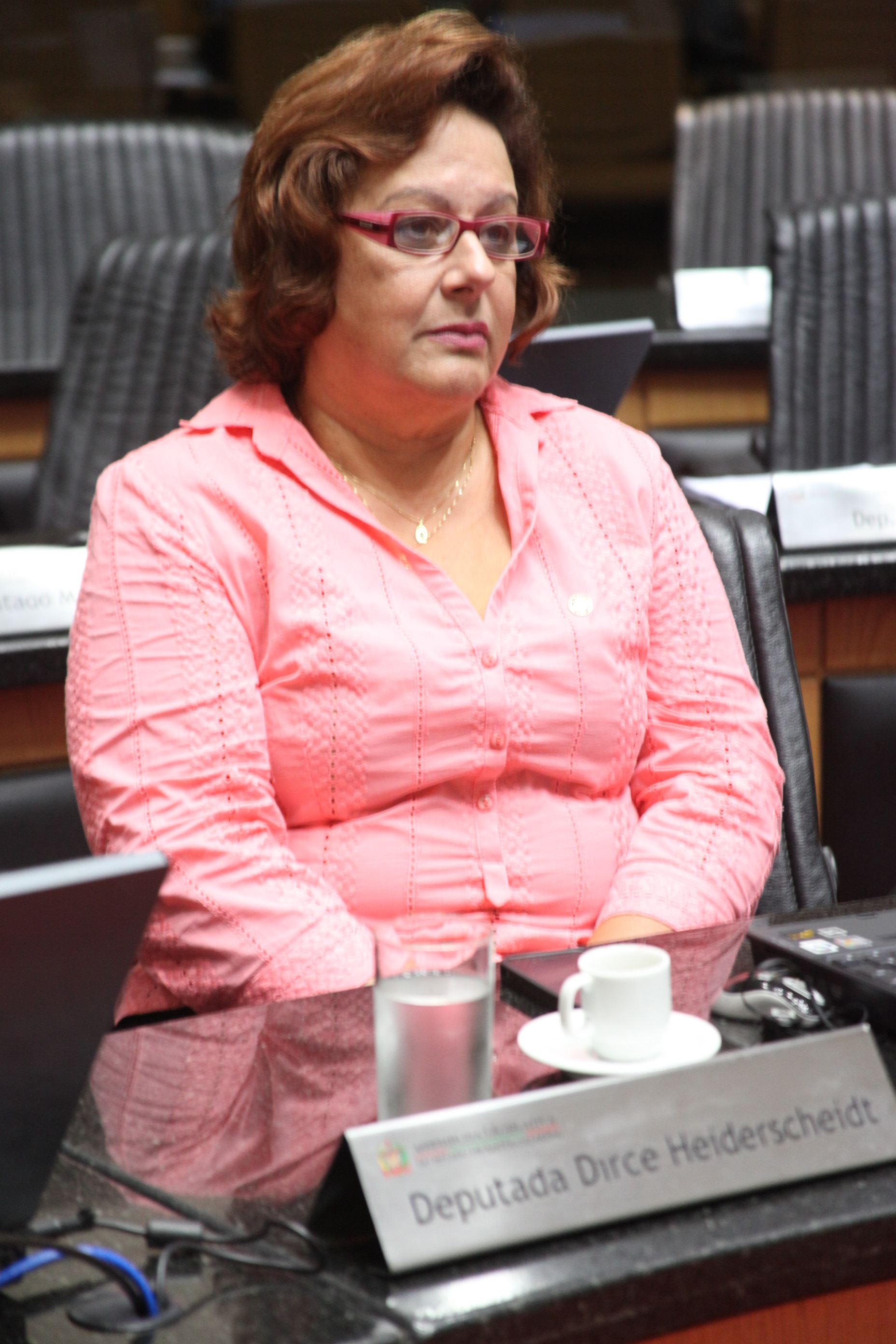 Sessão Ordinária - Plenário Osni Régis. Deputada Dirce Heiderscheidt (PMDB). Foto: Fábio Queiroz