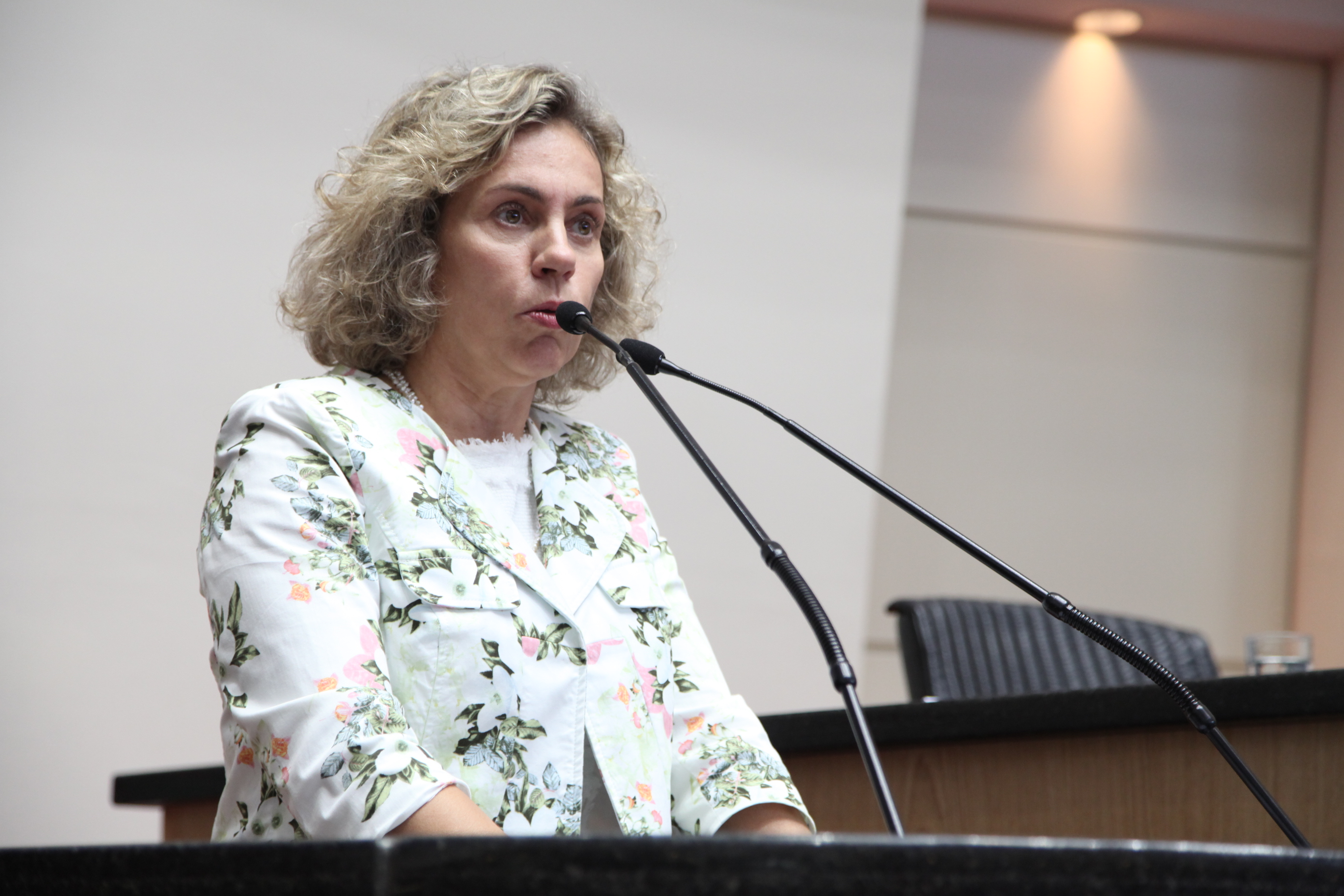 Sessão Ordinária - Plenário Osni Régis. Deputada Ana Paula Lima (PT)