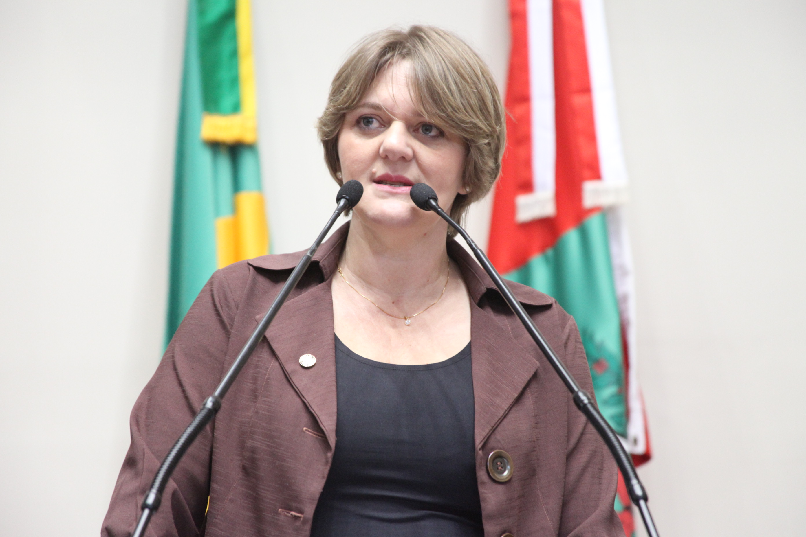 Sessão Ordinária - Plenário Osni Régis. Deputada Luciane Carminatti (PT). Foto: Fábio Queiroz