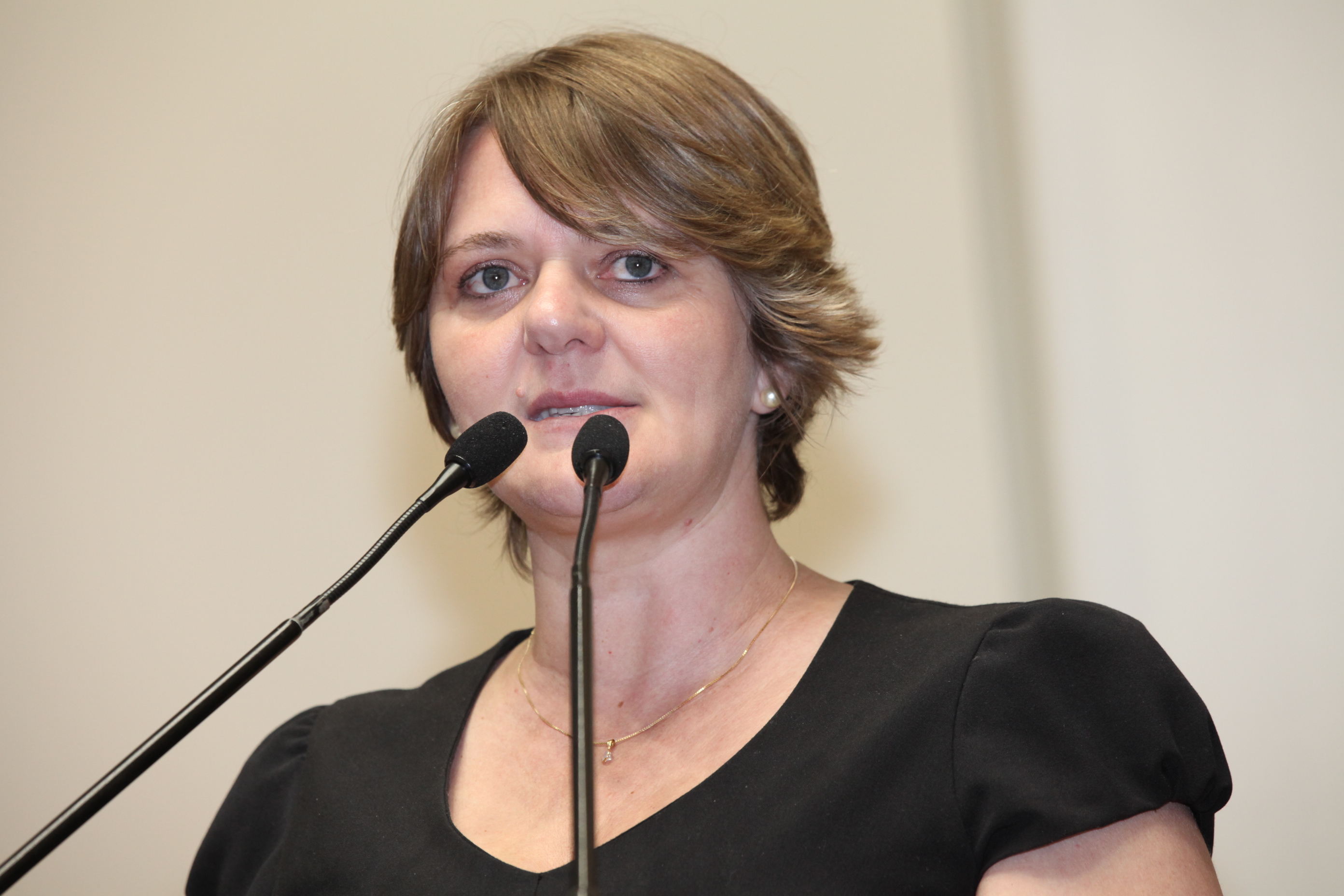 Sessão Ordinária - Plenário Osni Régis. Deputada Luciane Carminatti (PT)