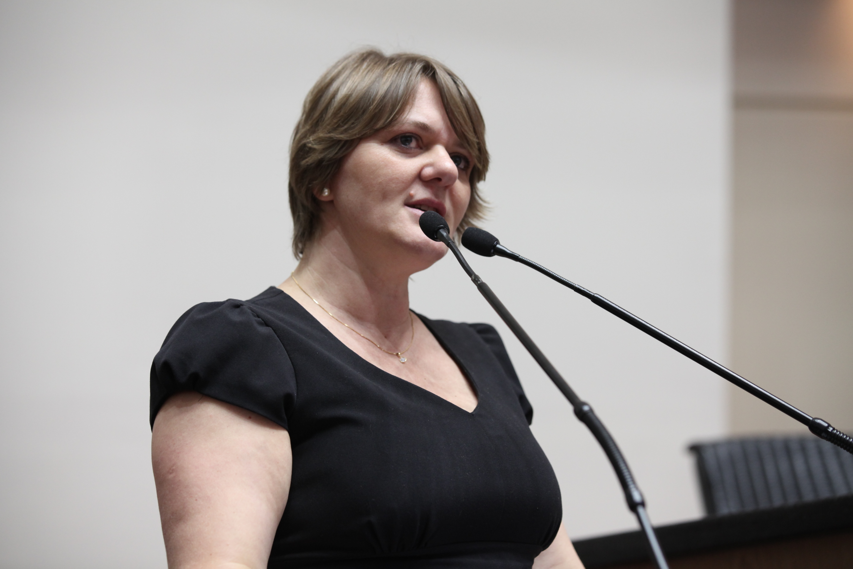 Sessão Ordinária - Plenário Osni Régis. Deputada Luciane Carminatti (PT)