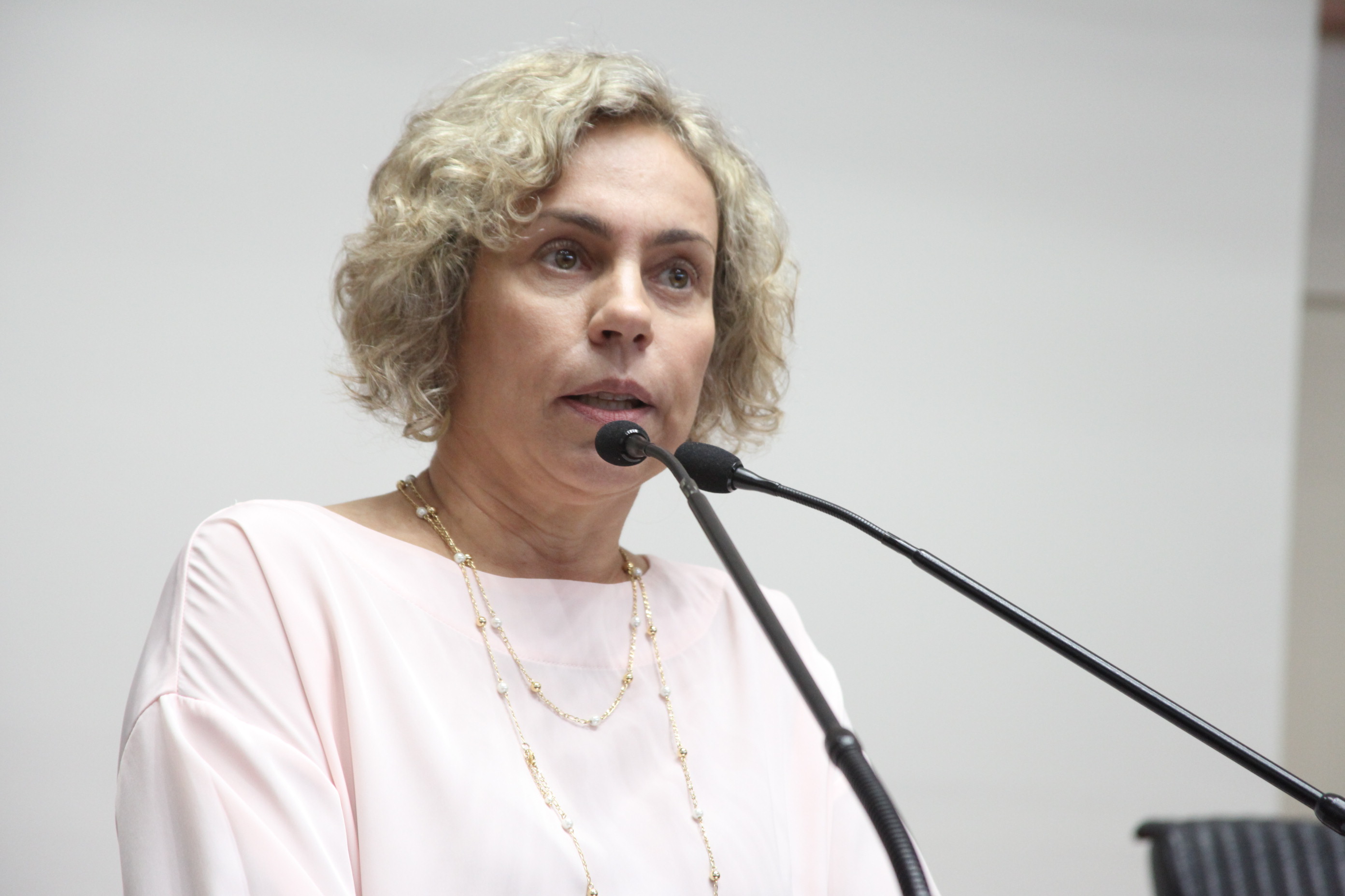 Sessão Ordinária - Plenário Osni Regis. Deputada Ana Paula Lima (PT). Foto: Fábio Queiroz