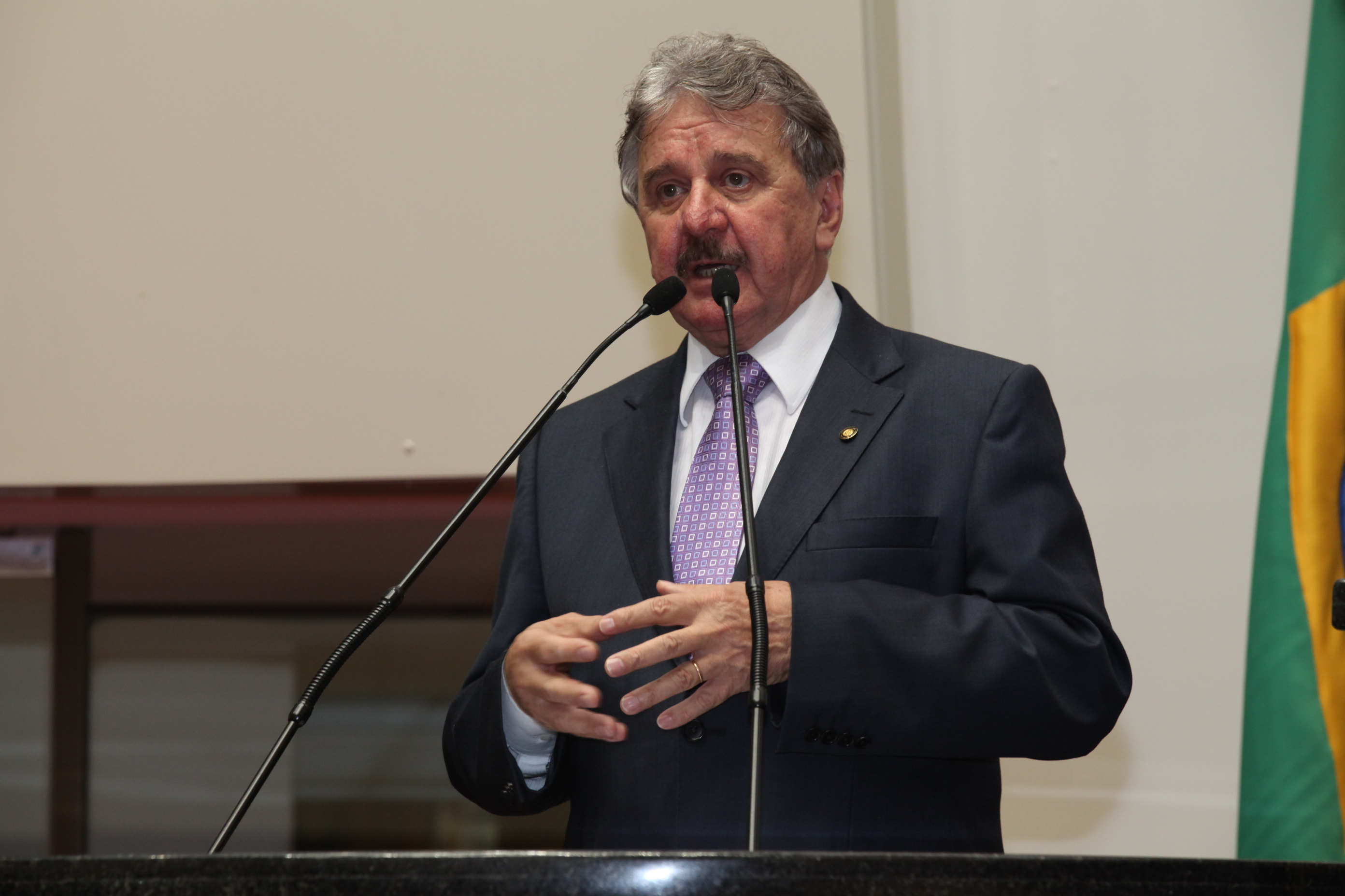Sessão Ordinária -  Deputado Moacir Sopelsa (PMDB)