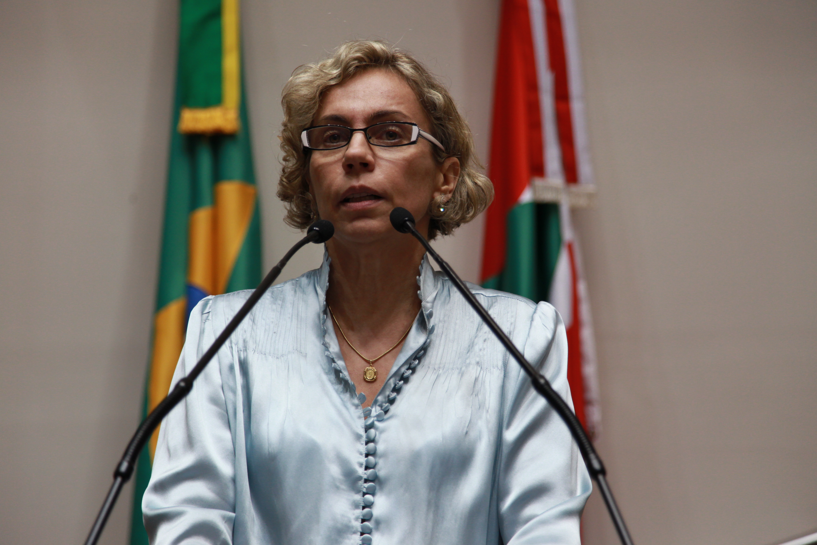 Sessão Ordinária - Plenário Osni Régis - Deputada Ana Paula Lima (PT) - Foto: Lucas Gabriel Diniz