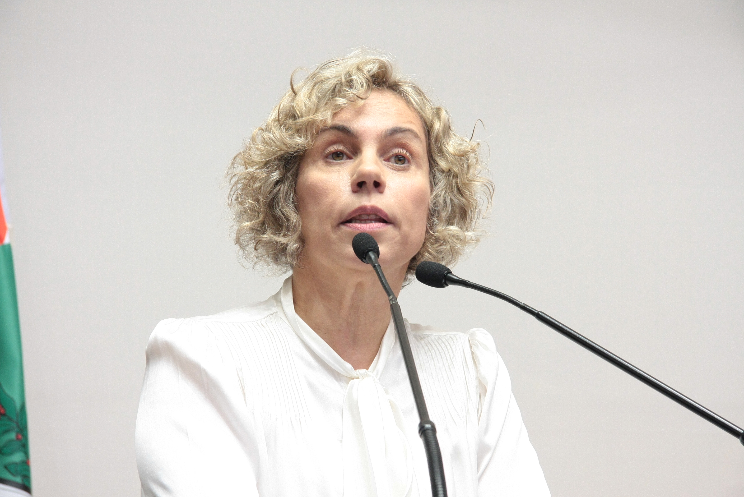 Sessão Ordinária - Plenário Osni Régis. Deputada Ana Paula Lima (PT) Foto: Eduardo Guedes de Oliveira