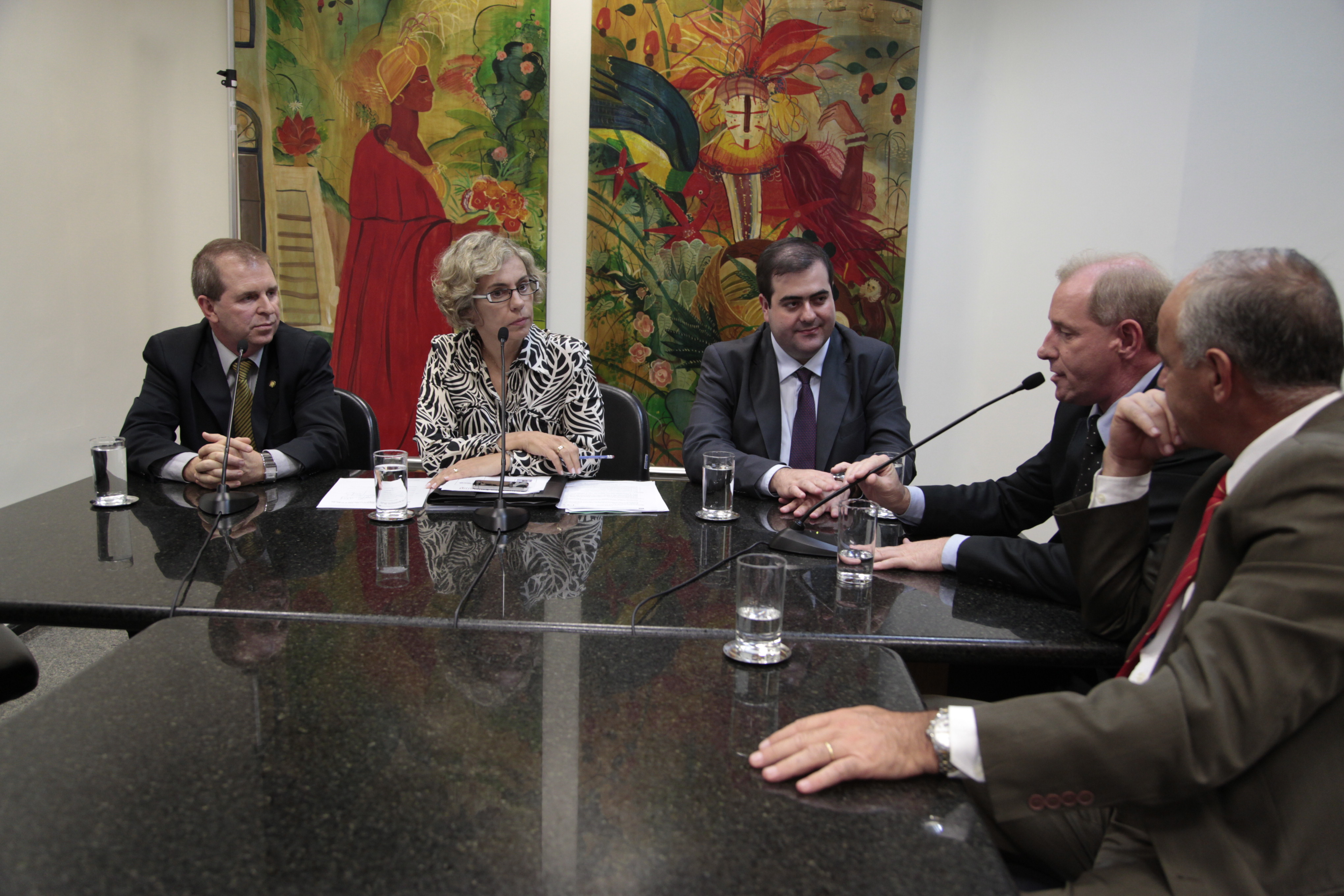 Comissão de Segurança Pública. Foto: Carlos Kilian