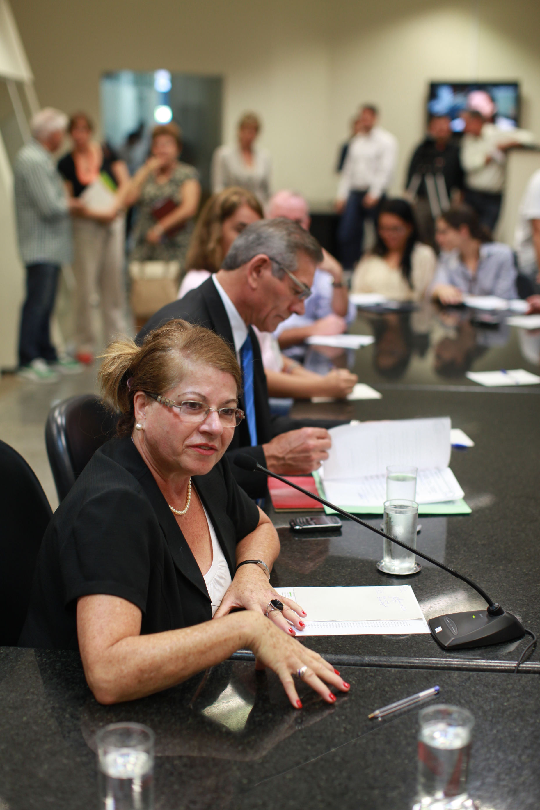 Reunião da Comissão de Educação - Prof. Edna Moretto - Foto: Lucas Gabriel Diniz