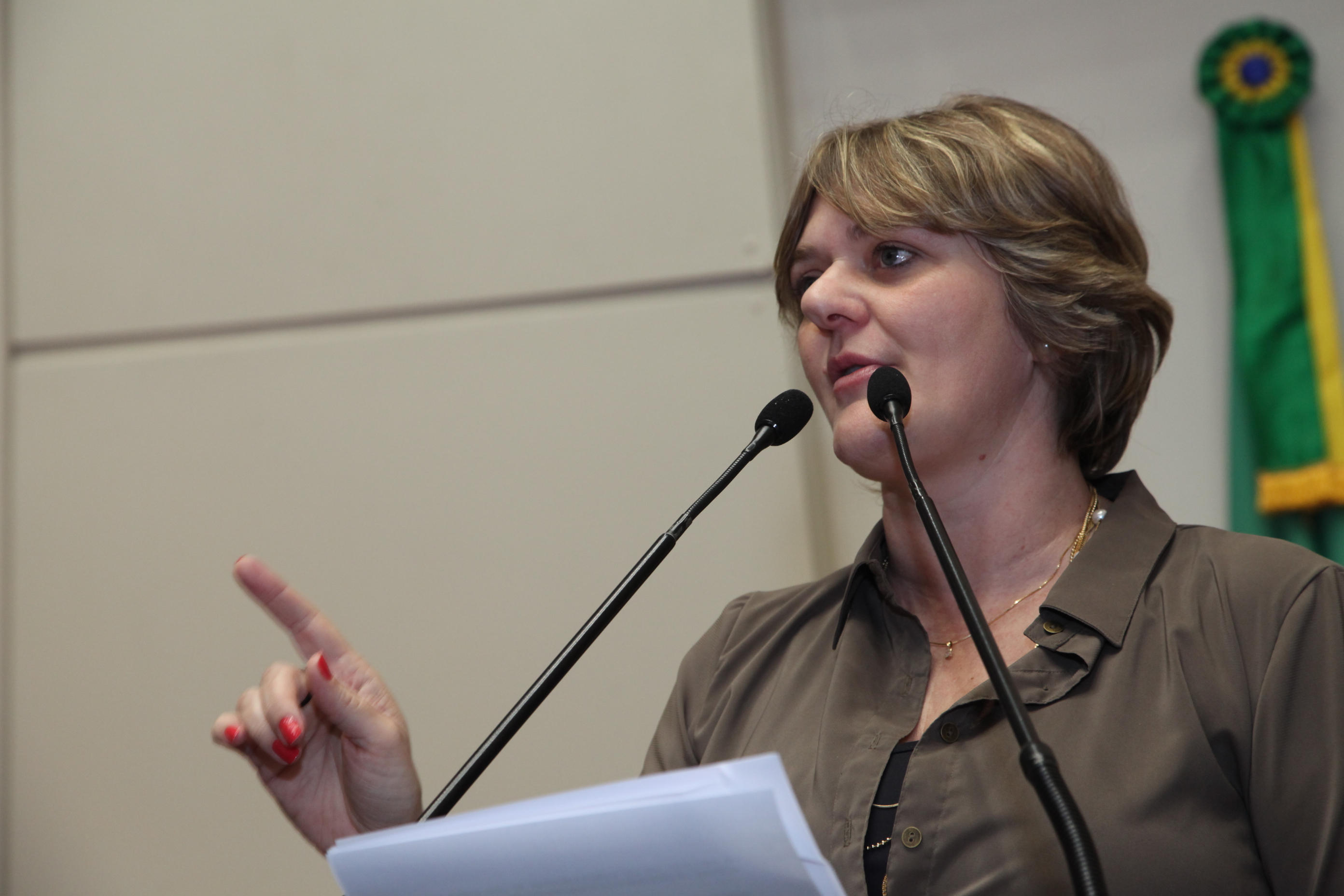 Sessão Ordinária Plenário Osni Régis - Deputada Luciane Carminatti (PT)