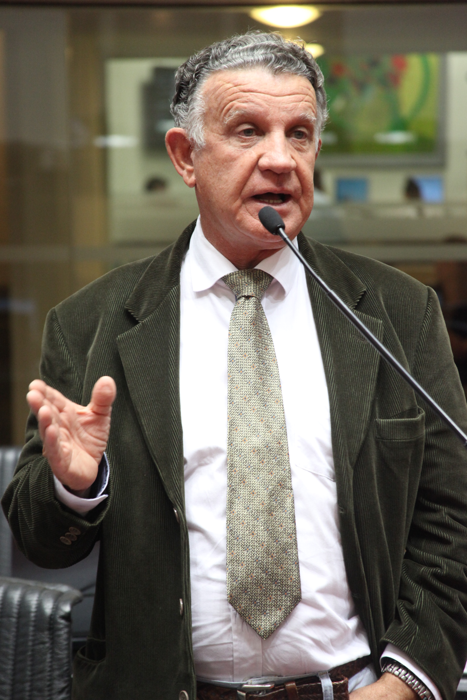 Sessão Ordinária - manhã. Deputado Edson Andrino (PMDB).  Foto: Fábio Queiroz