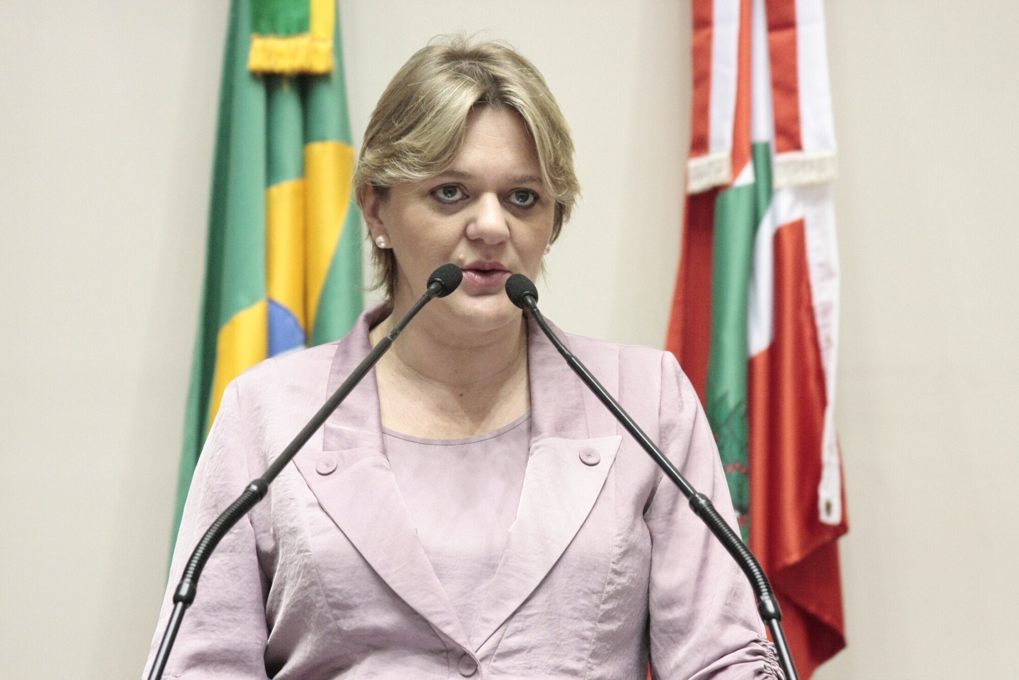 Bancada Feminina pede audiência com governador para instalação da Casa da Mulher Brasileira