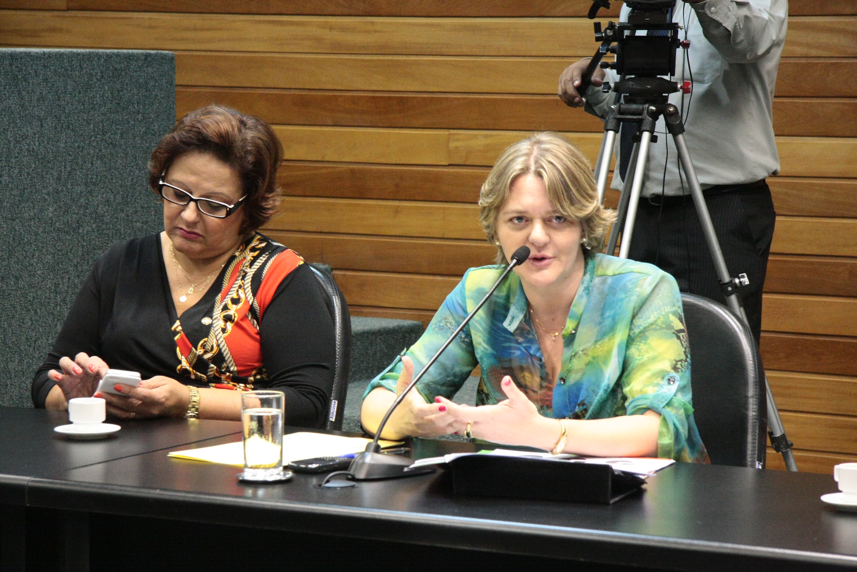 Reunião conjunta das Comissões de Trabalho e Educação. Foto: Jonas Lemos Campos