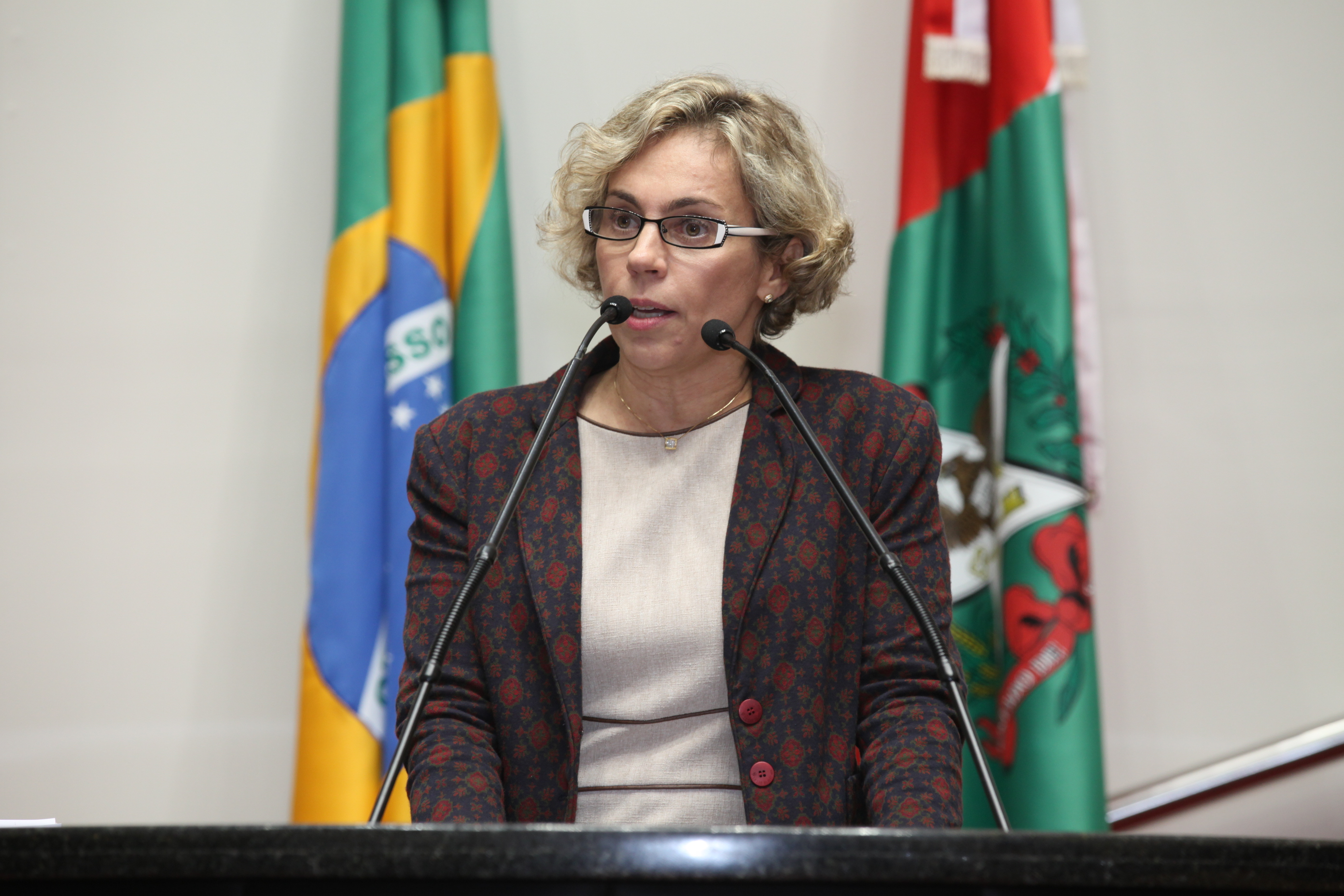 Sessão Ordinária - Plenário Osni Régis. Deputada Ana Paula Lima (PT)
