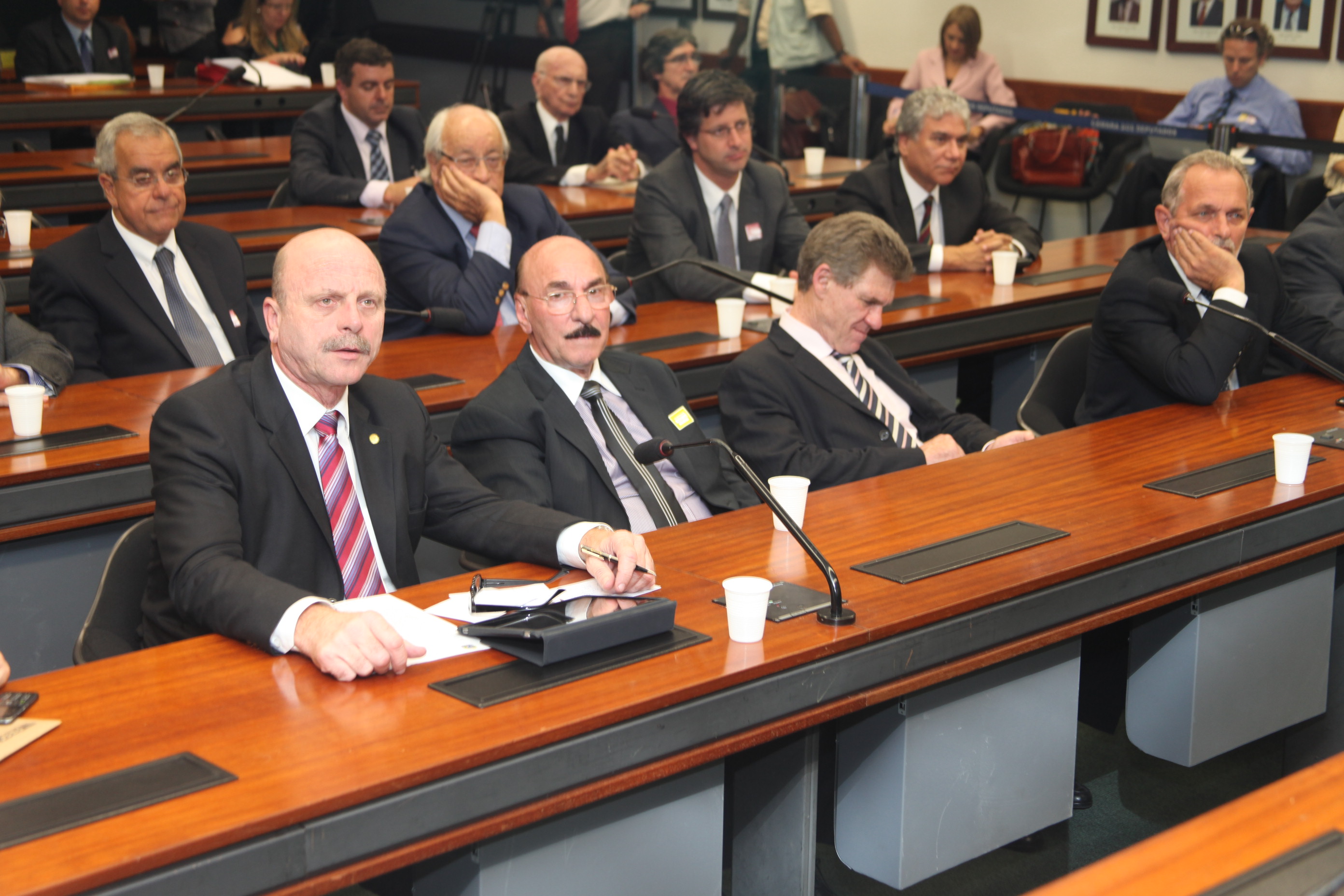 Reunião da Frente Parlamentar em Apoio ao Carvão Mineral