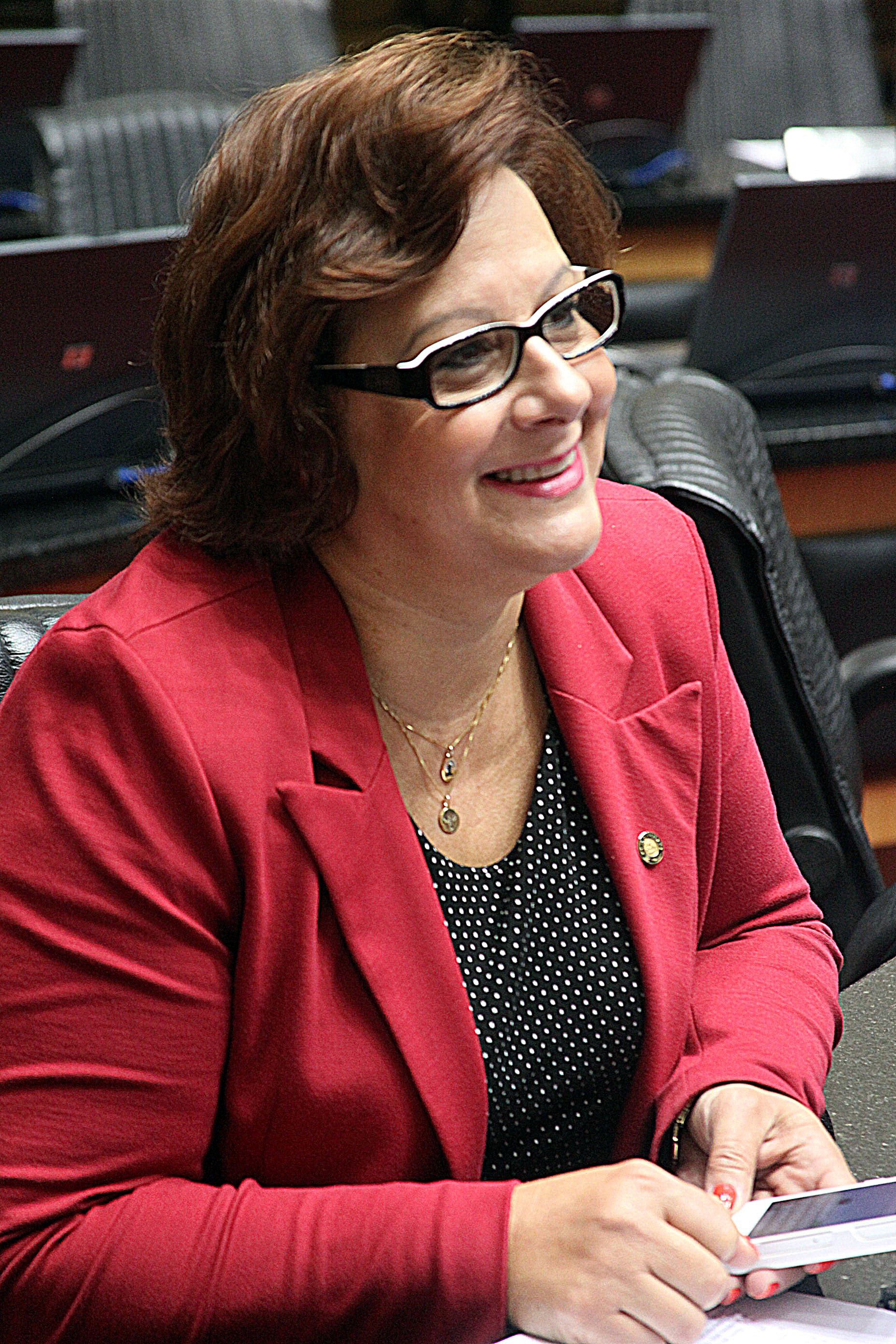 Sessão Ordinária - manhã - Deputada Dirce Heiderscheidt (PMDB) - Foto: Fábio Queiroz.
