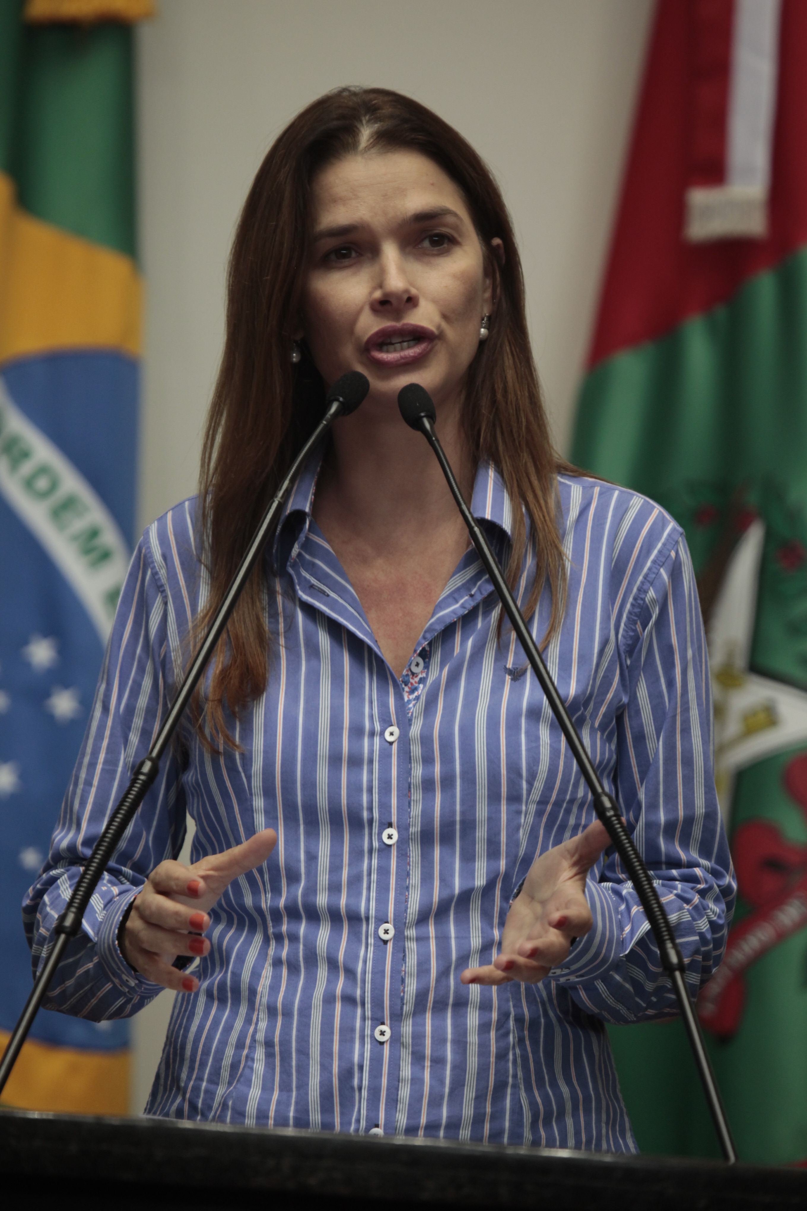 Sessão Ordinária - Plenário Osni Régis - Deputada Angela Albino (PCdoB).  Foto: Carlos Kilian