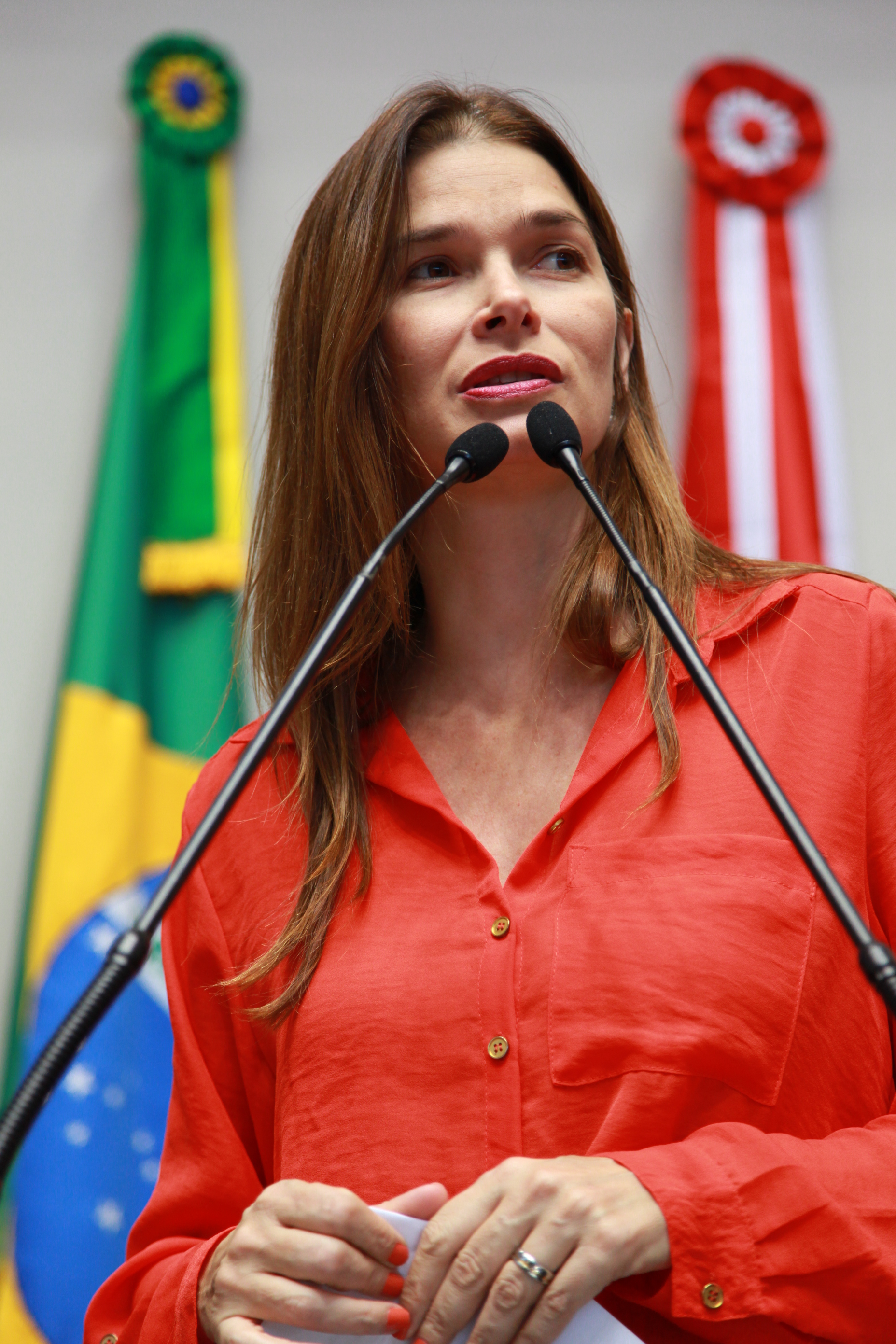 Sessão Ordinária - Plenário Osni Régis - Deputada Angela Albino (PCdoB) - Foto: Lucas Gabriel Diniz