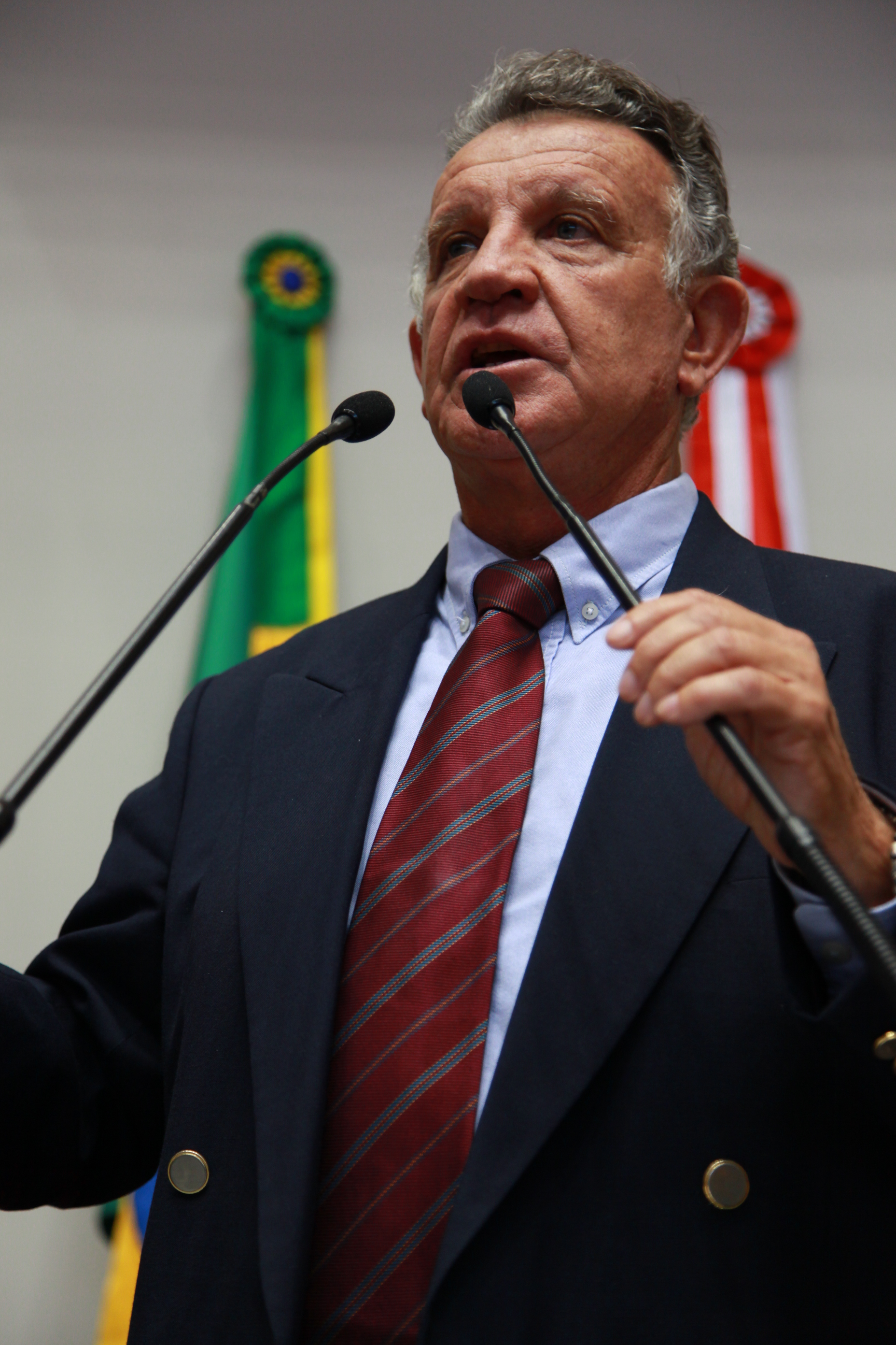 Sessão Ordinária - Plenário Osni Régis - Deputado Edison Andrino (PMDB) - Foto: Lucas Gabriel Diniz