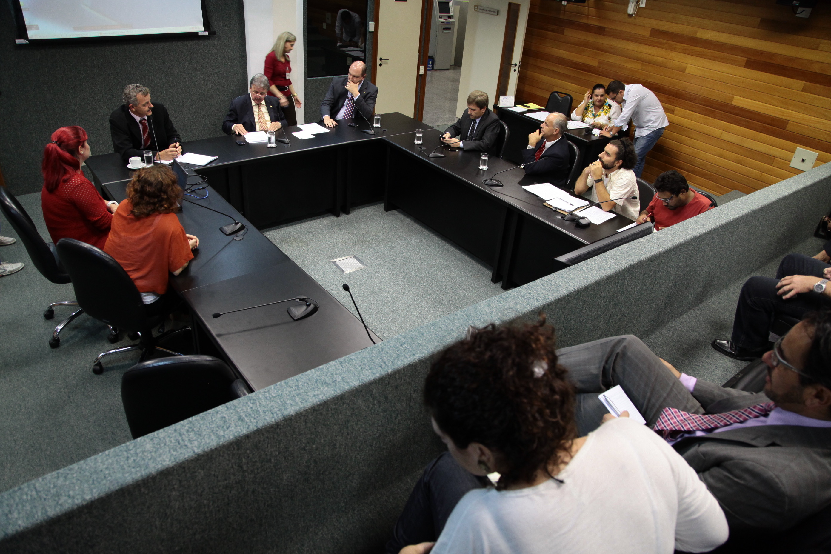 Reunião da Comissão de Agricultura.  Foto: Miriam Zomer
