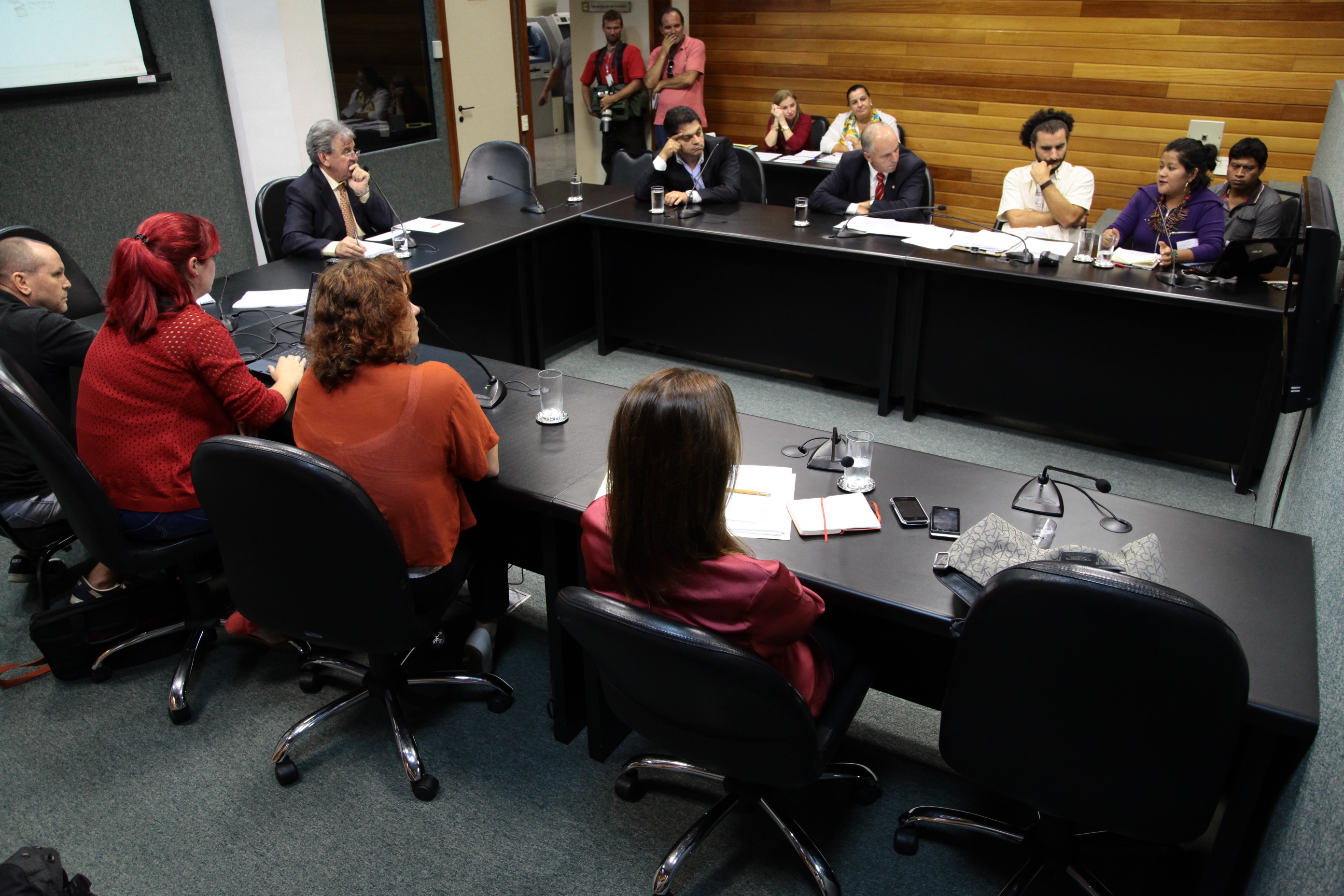 Reunião da Comissão de Agricultura.  Foto: Miriam Zomer