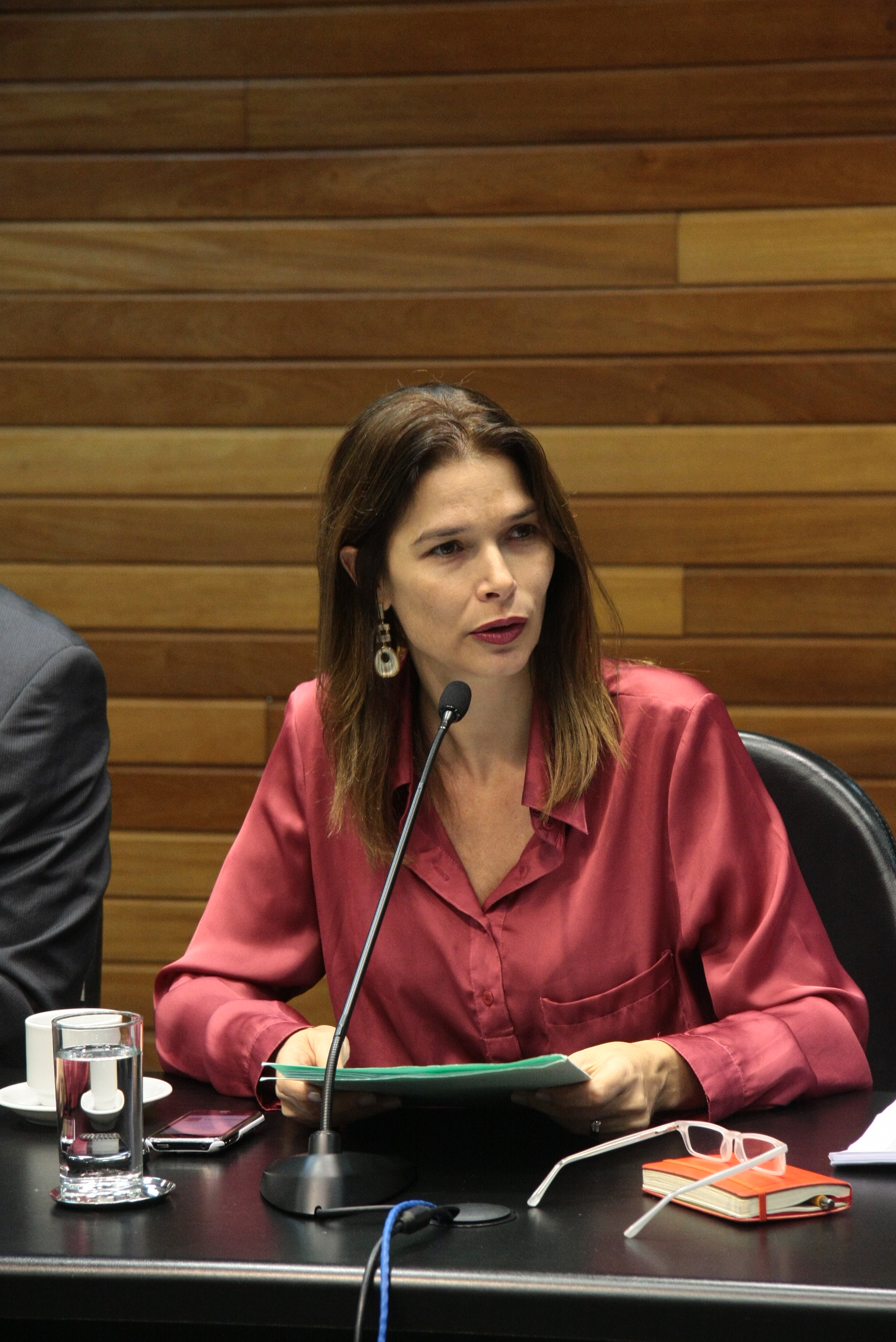 Reunião da Comissão de Trabalho - Deputada Angela Albino (PCdoB) -  Foto: Eduardo Guedes de Oliveira