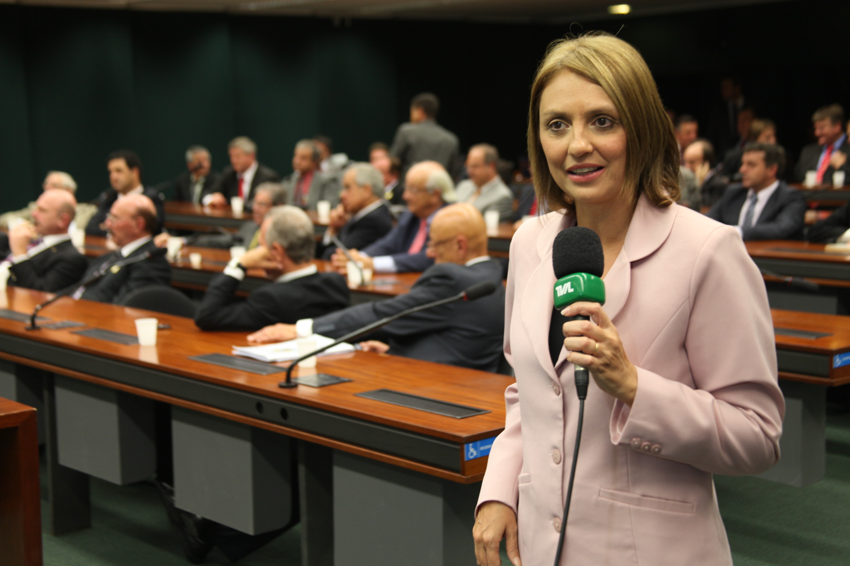 Jornalista Maria Helena Saris