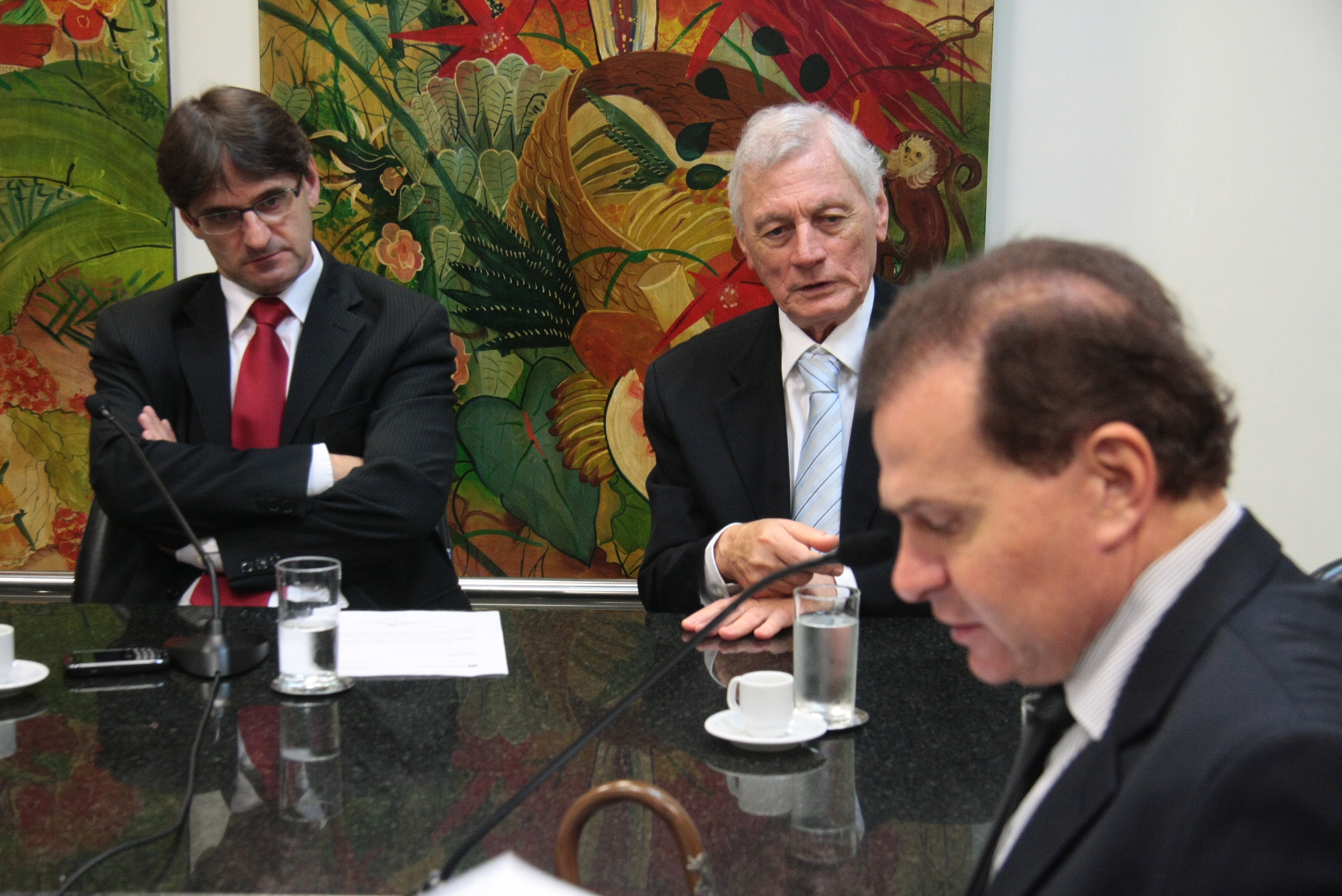 Reunião da Comissão de Turismo. Foto: Eduardo Guedes de Oliveira