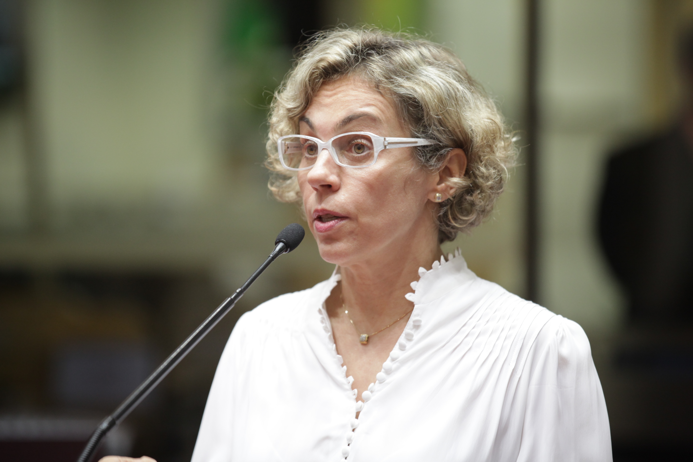 Sessão Ordinária - Plenário Osni Régis - Deputada: Ana Paula Lima  (PT)