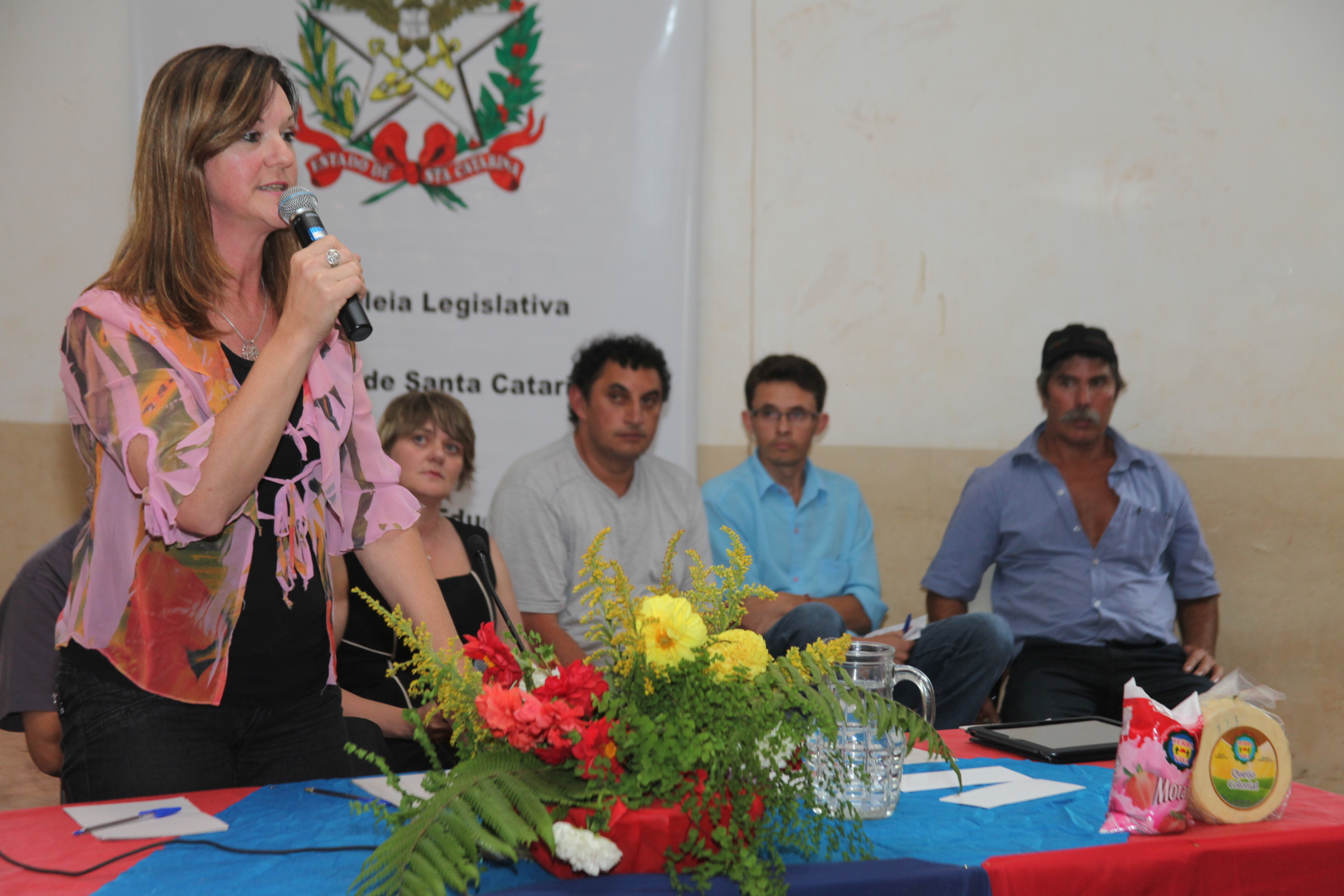 Comissão de Educação promove audiência pública em Campos Novos. Foto: Fábio Queiroz