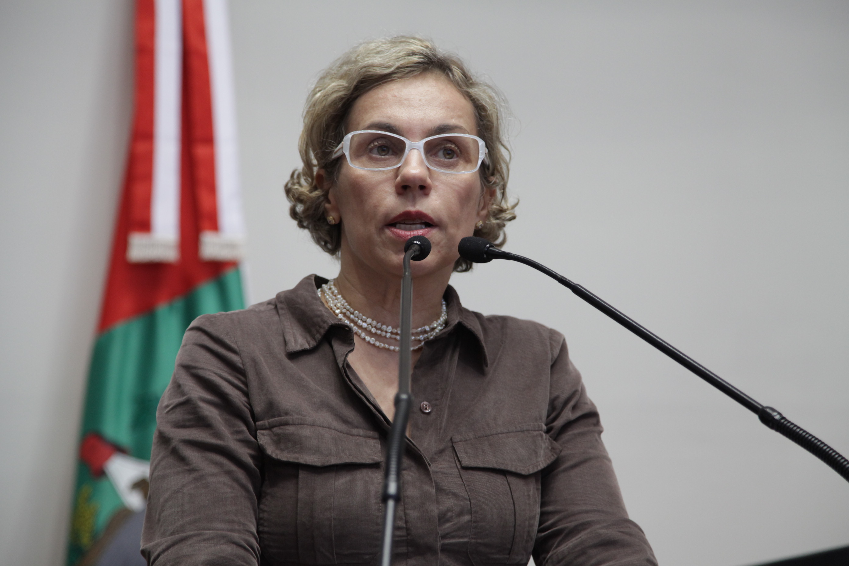 Sessão Ordinária - Plenário Osni Régis. Deputada Ana Paula Lima (PT)