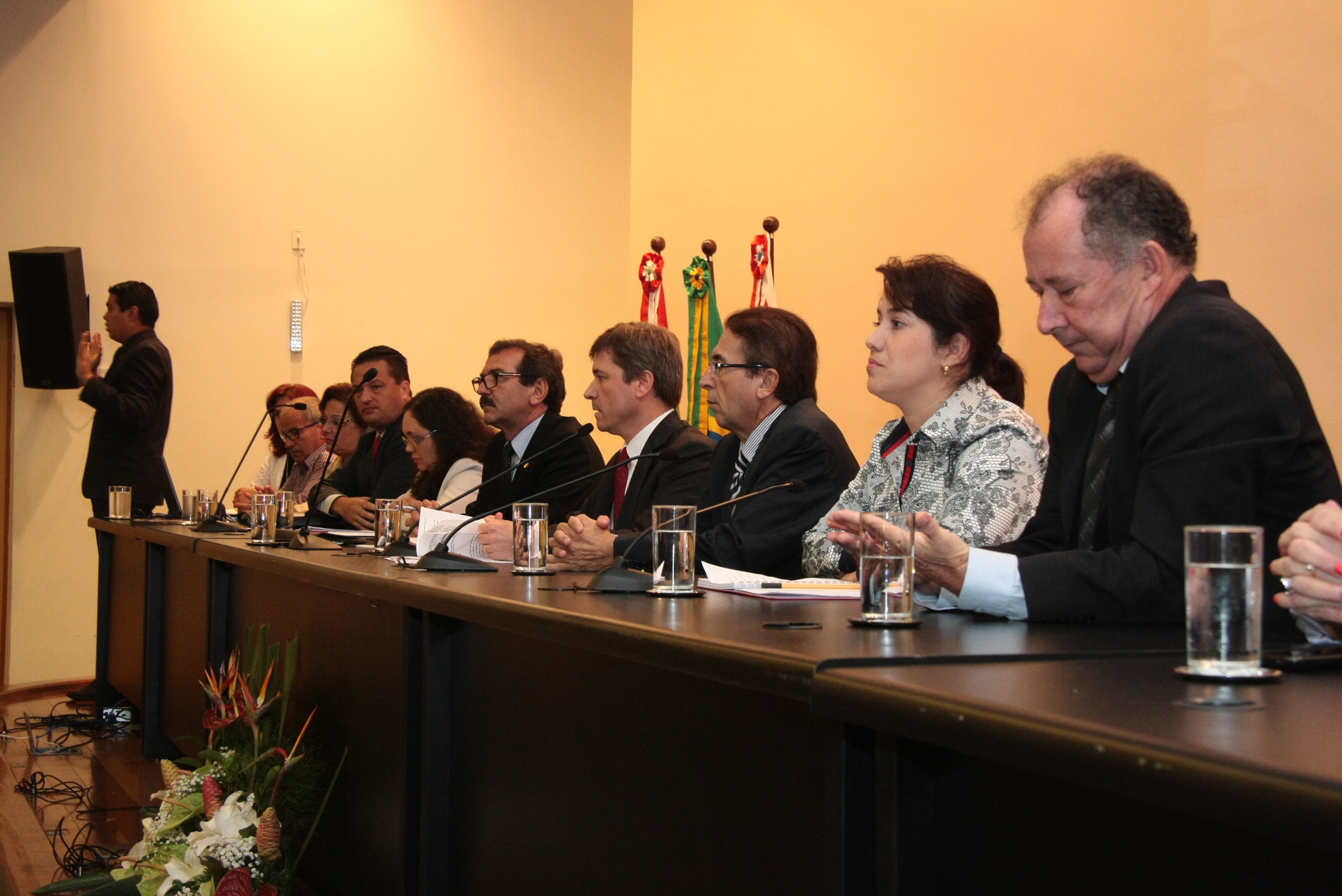 Audiência Pública solicitada pelo Conselho Estadual dos Direitos da Pessoa Portadora de Deficiência - CONEDE. Foto: Eduardo Guedes de Oliveira