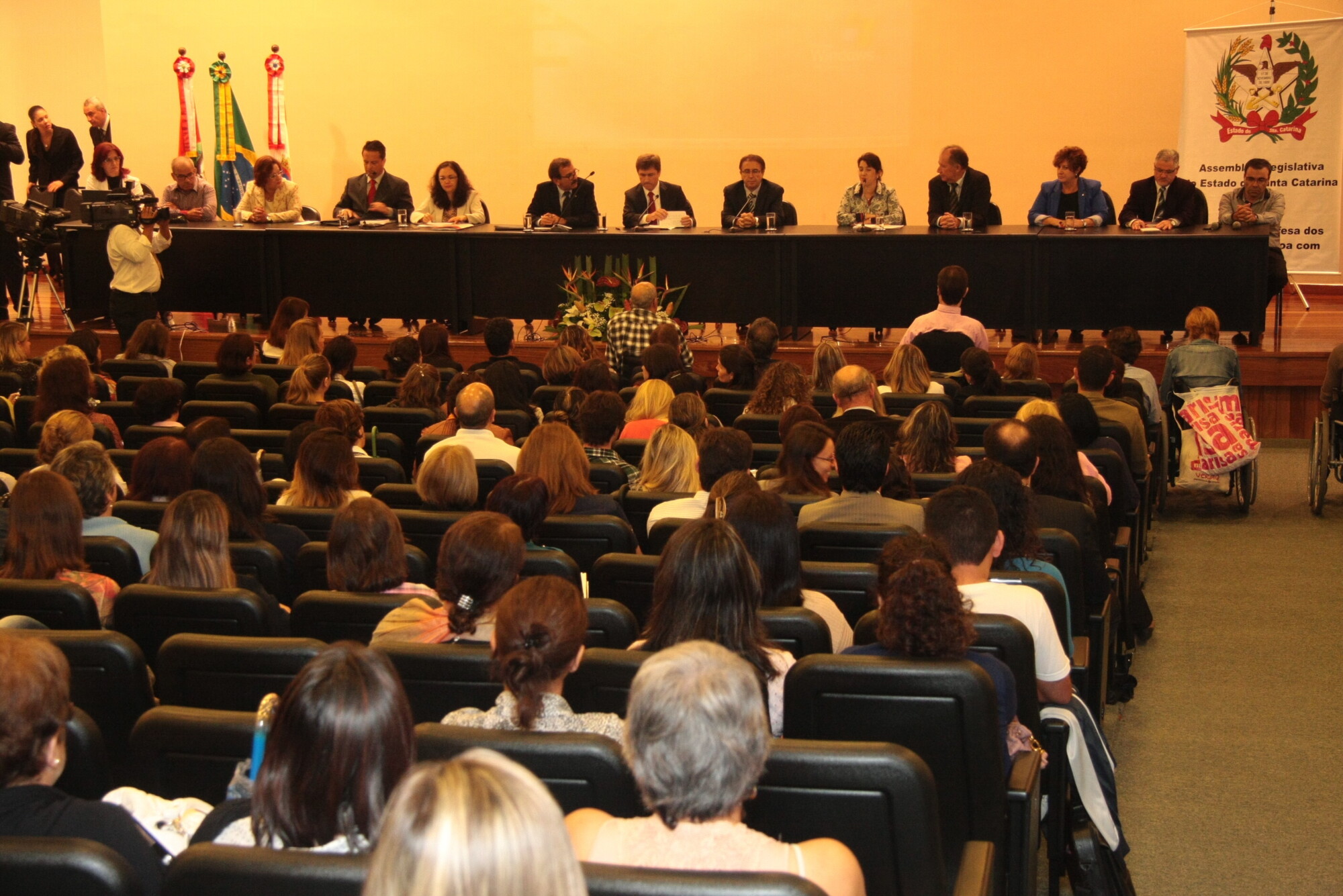 Audiência debate inclusão de alunos com deficiência na rede particular