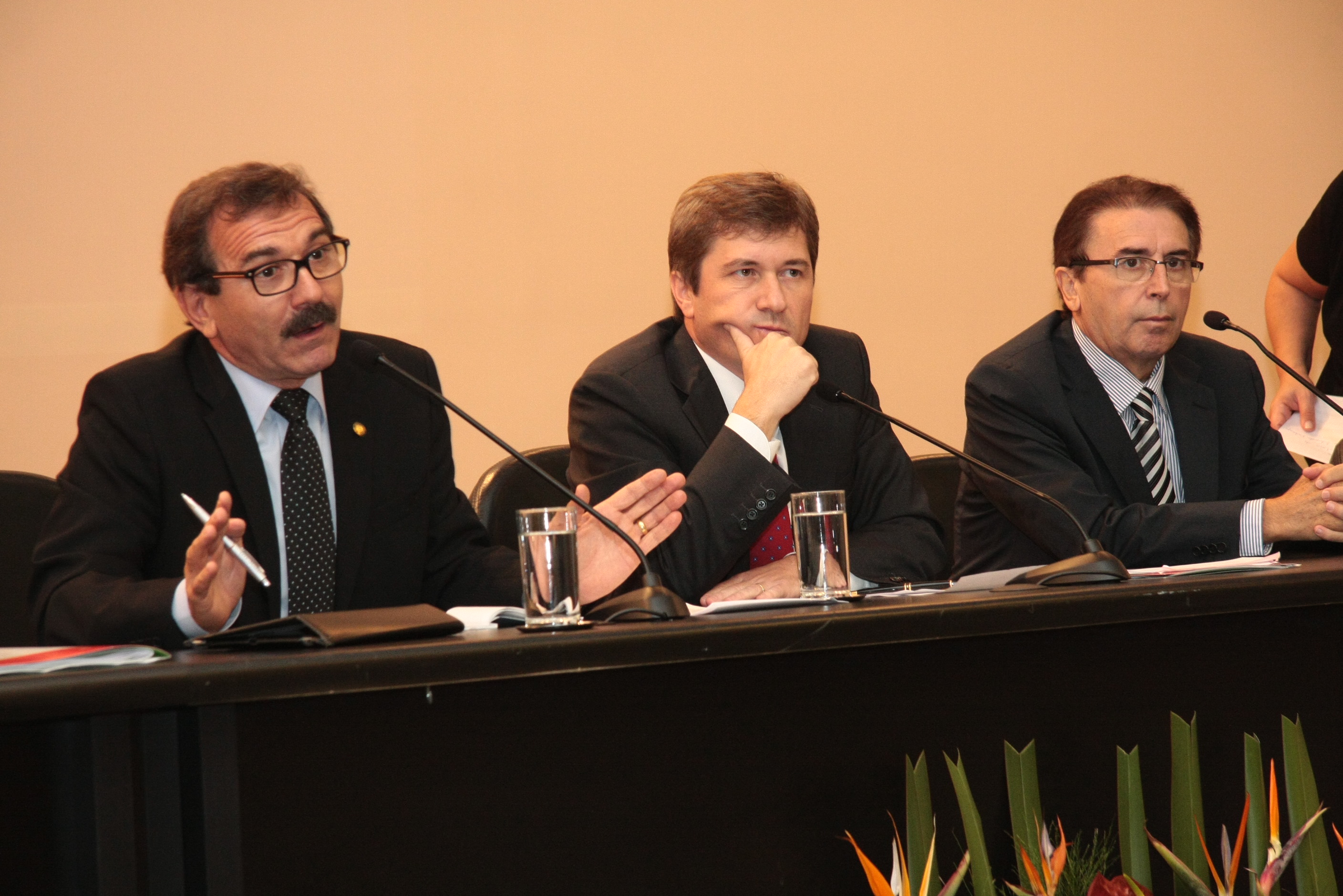 Audiência Pública solicitada pelo Conselho Estadual dos Direitos da Pessoa Portadora de Deficiência - CONEDE. Foto: Eduardo Guedes de Oliveira