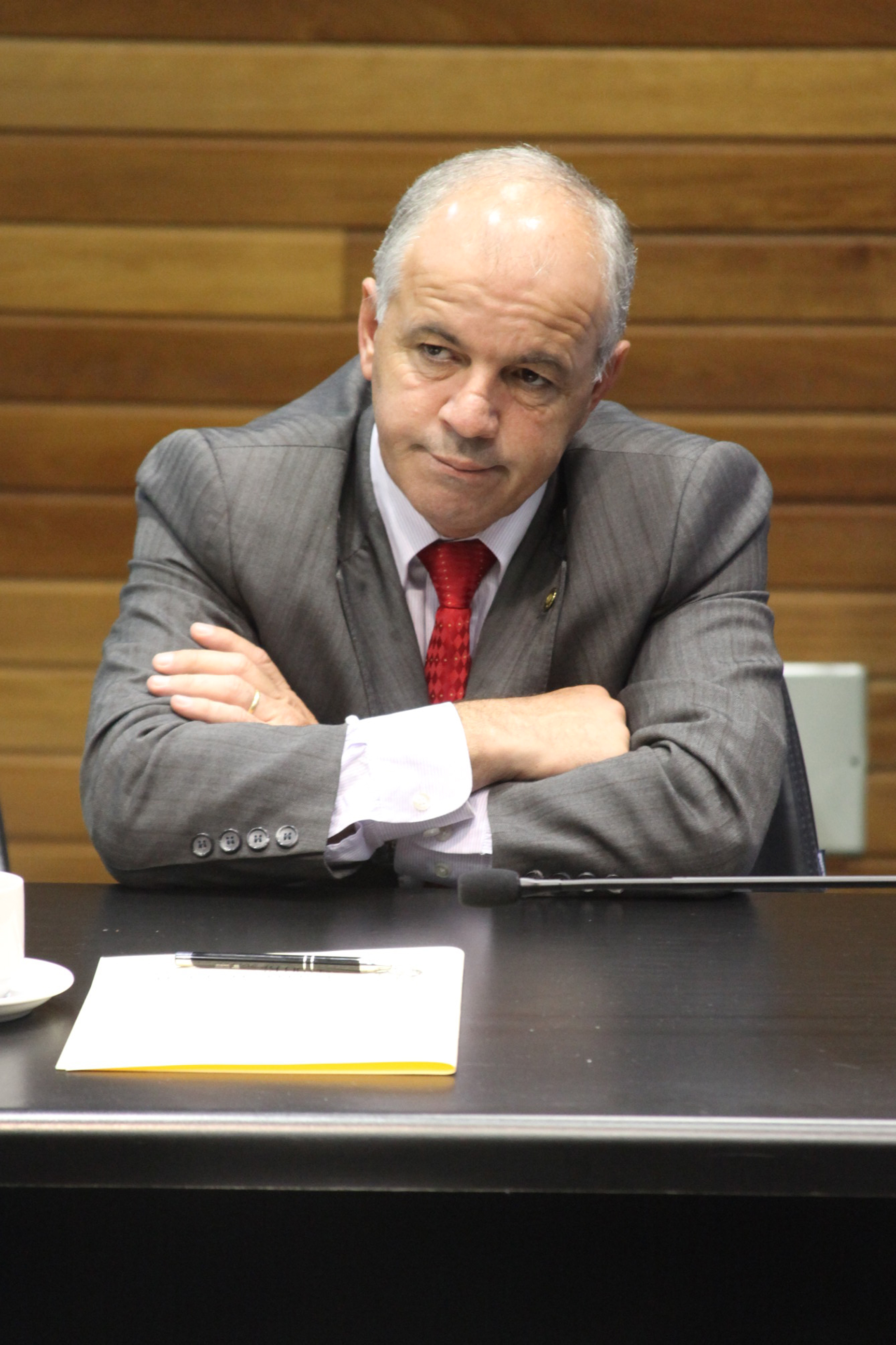 Reunião da Comissão de Segurança Pública. Foto: Fábio Queiroz