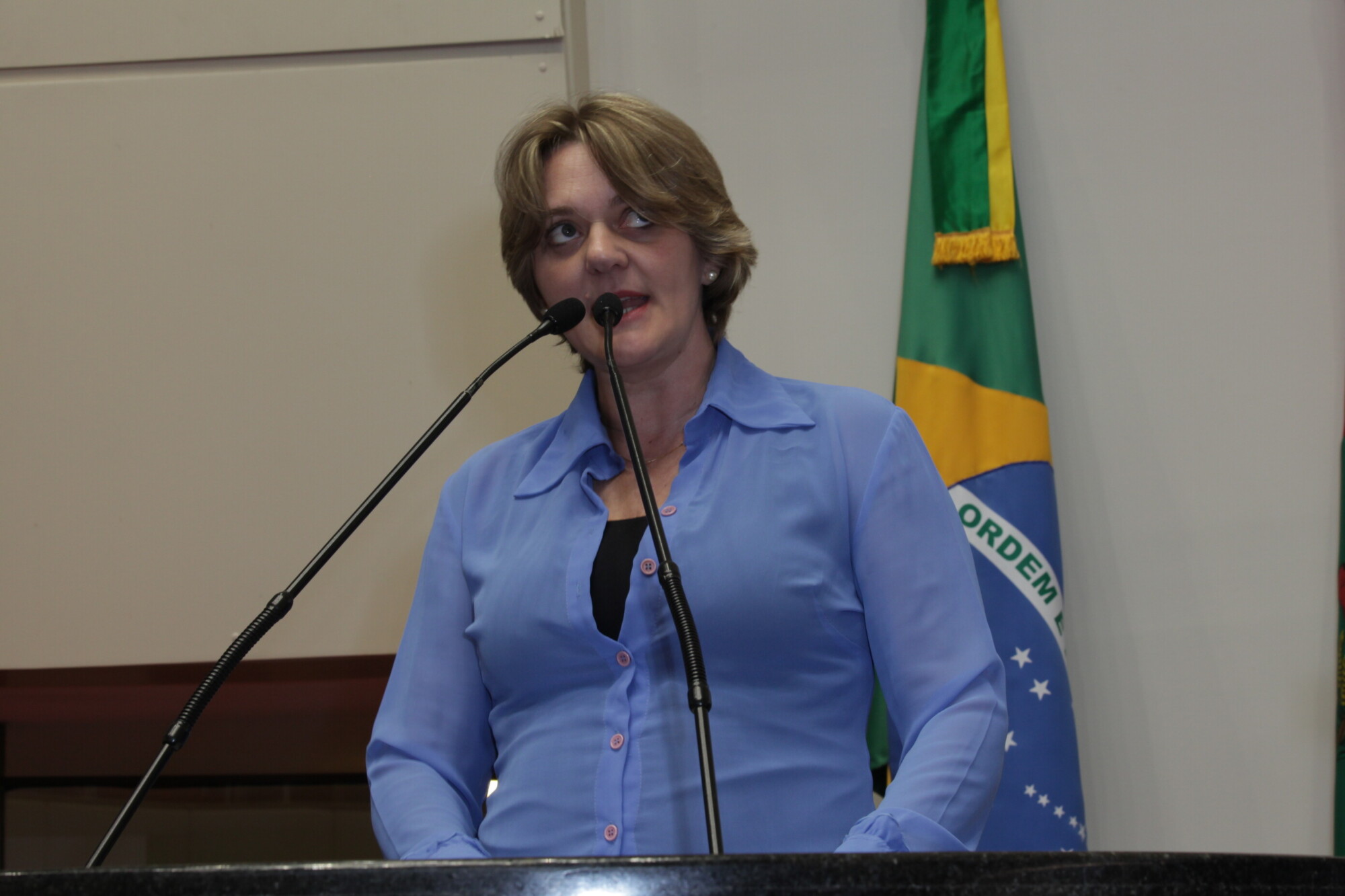 Luciane Carminatti cobra ampliação estrutural da Defensoria Pública de SC