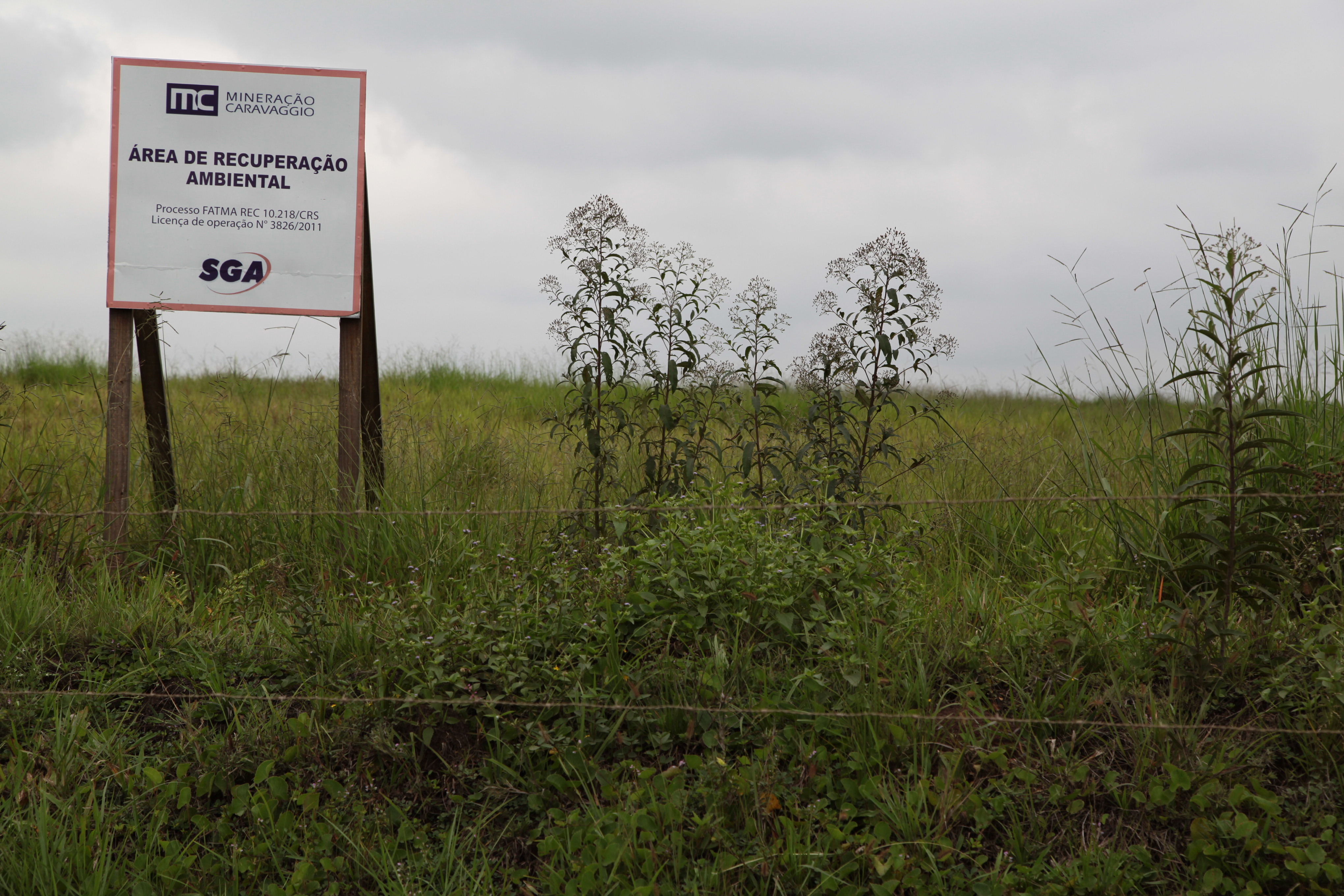 Recuperação Ambiental de área degradada. Foto: Miriam Zomer