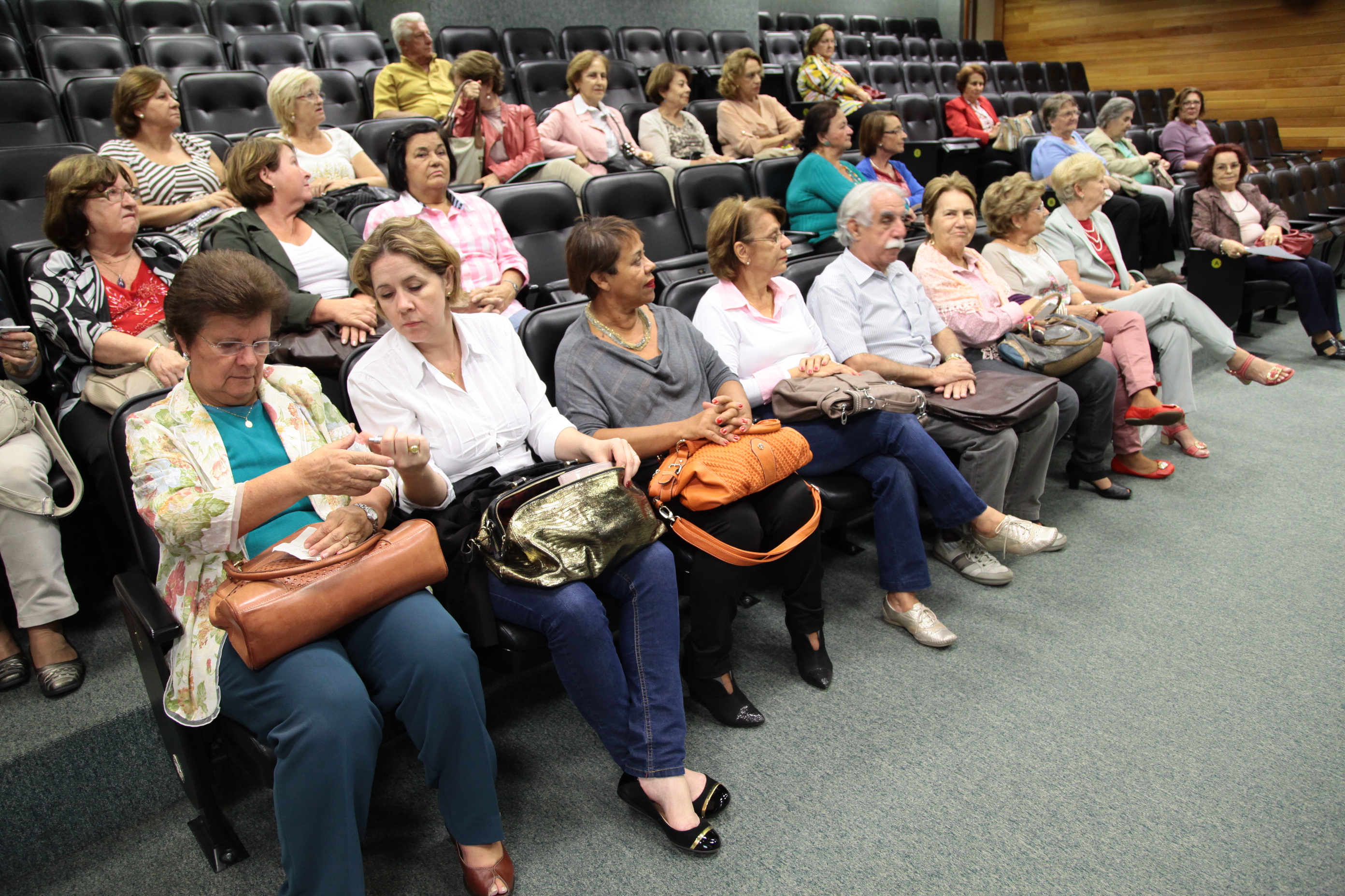 Palestra sobre Visão Holística da Saúde, aos professores associados da grande Florianópolis. Palestrante Marisa Assunta Fantin. Foto: Miriam Zomer